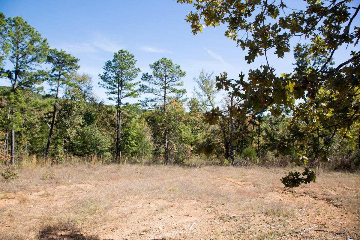 Stone Creek Phase I Tract 183 photo 17