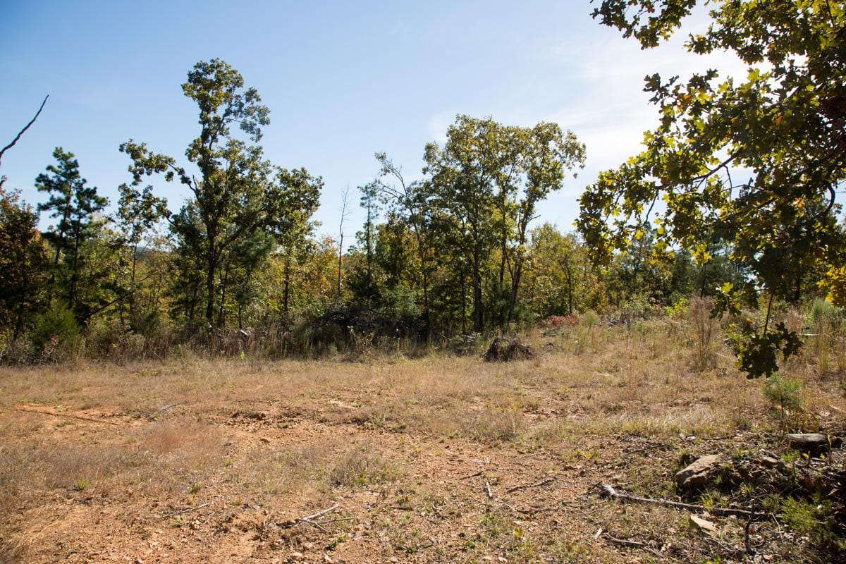 Stone Creek Phase I Tract 183 photo 18
