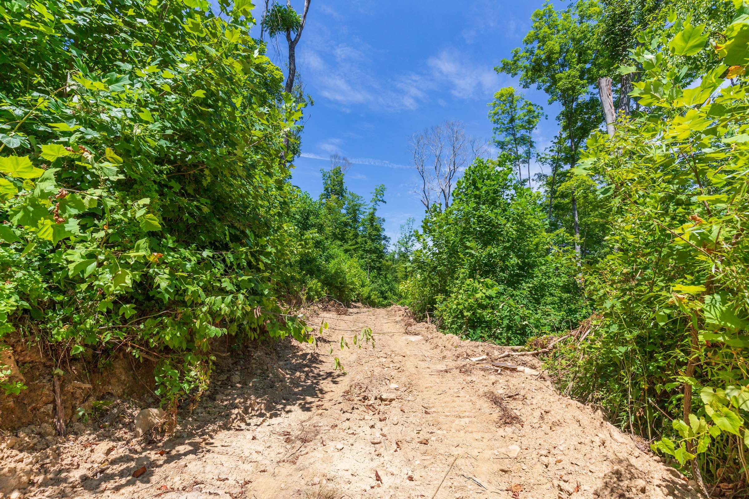 River’s Edge Tract 18 photo 7
