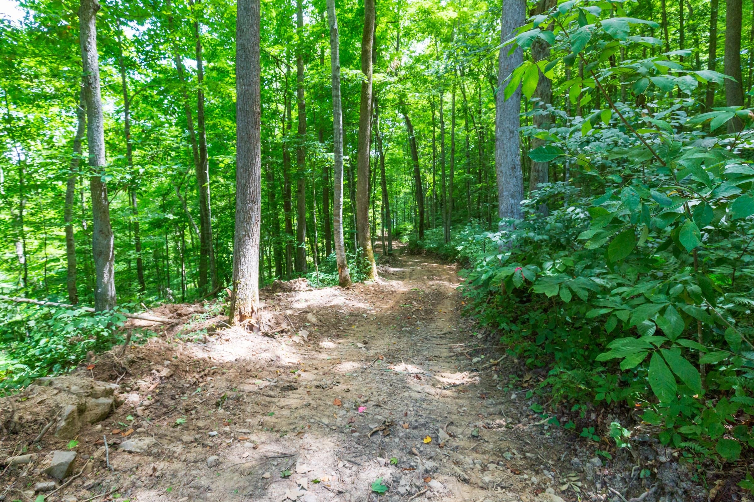River’s Edge Tract 18 photo 27