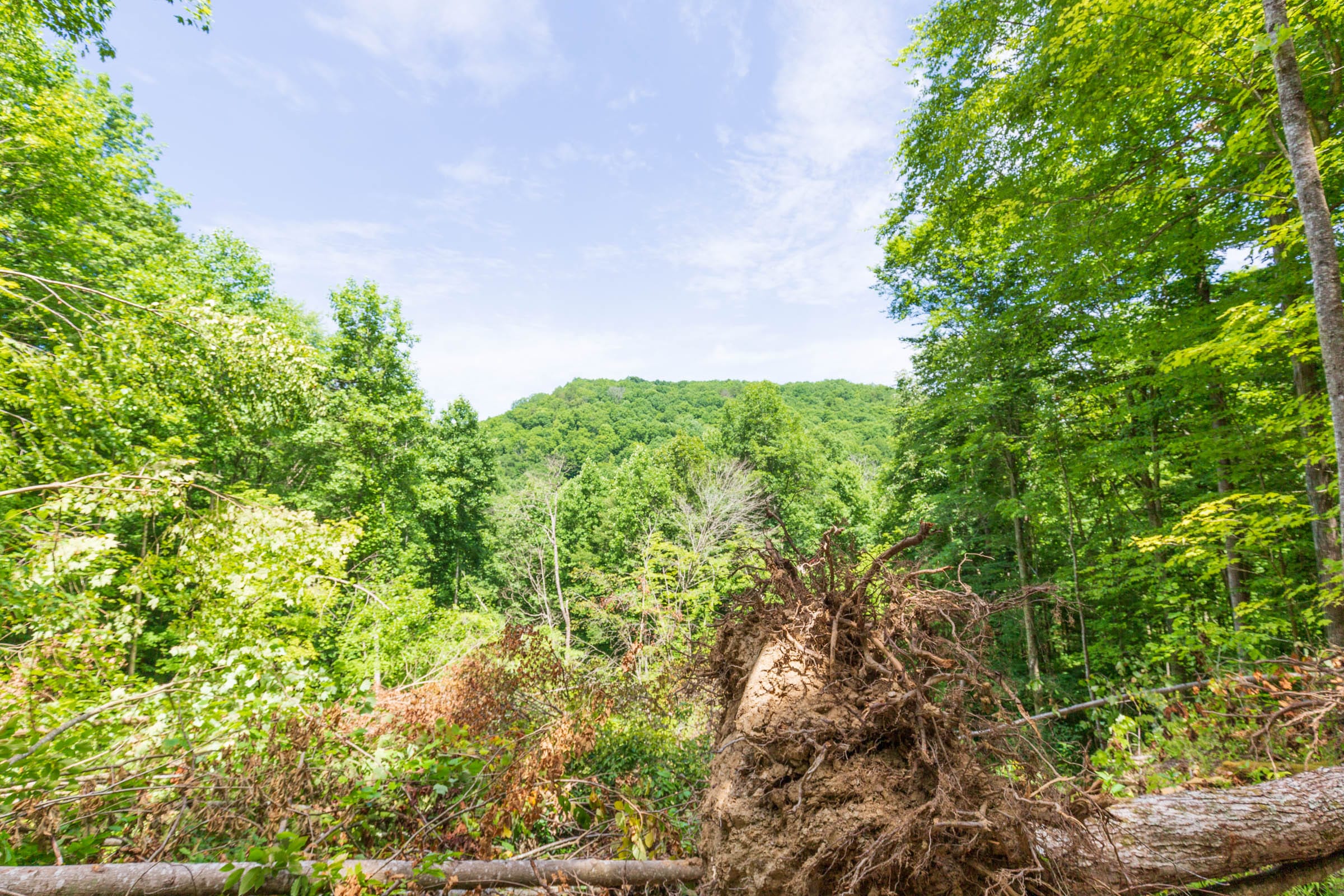 River’s Edge Tract 18 photo 6