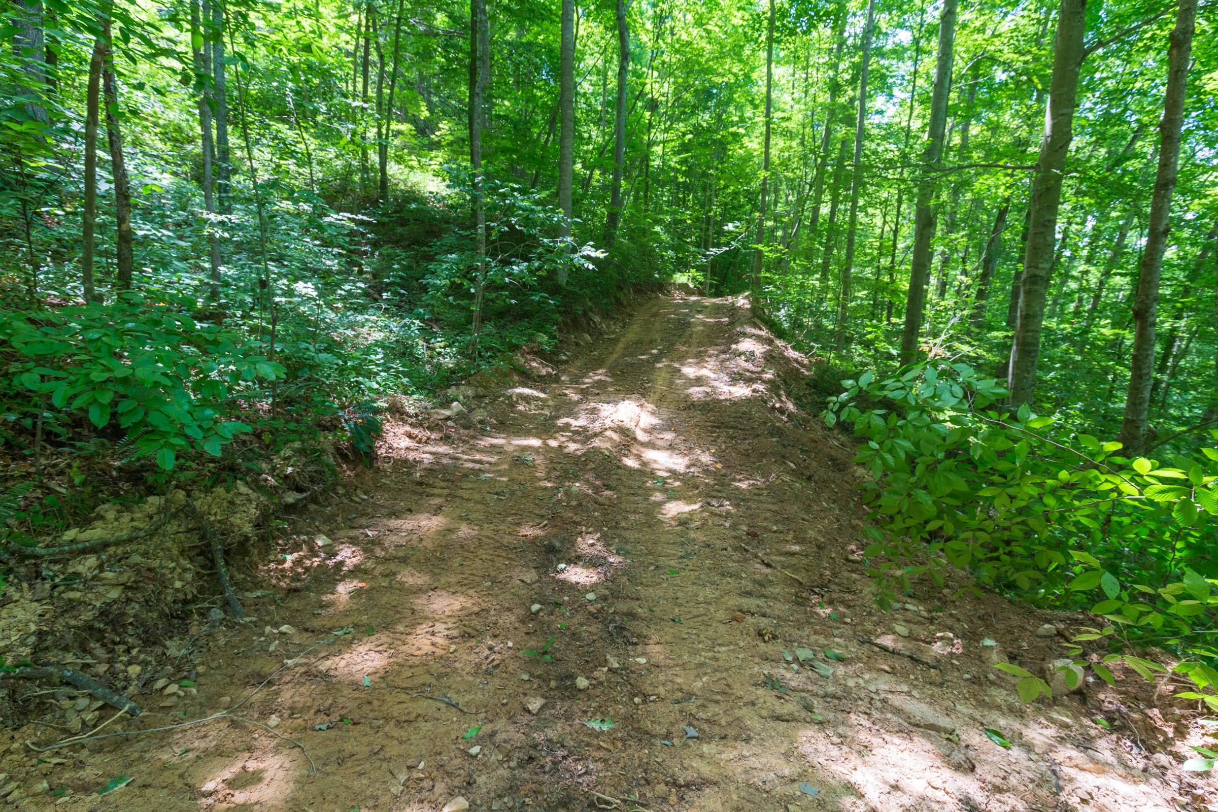 River’s Edge Tract 18 photo 31