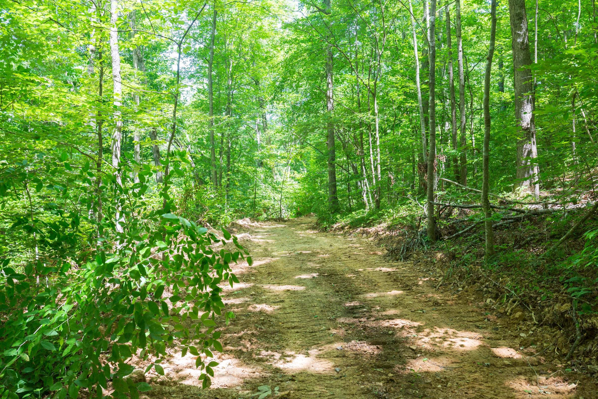 River’s Edge Tract 18 photo 11