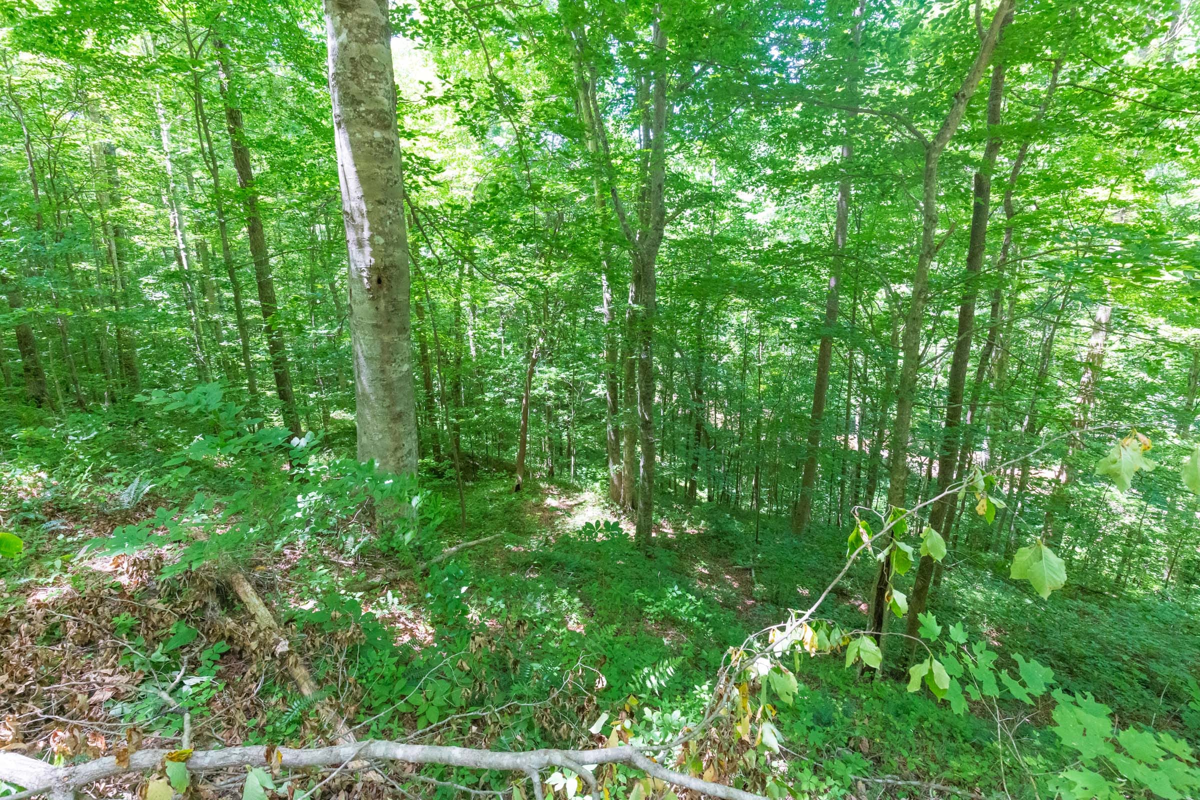 River’s Edge Tract 18 photo 12