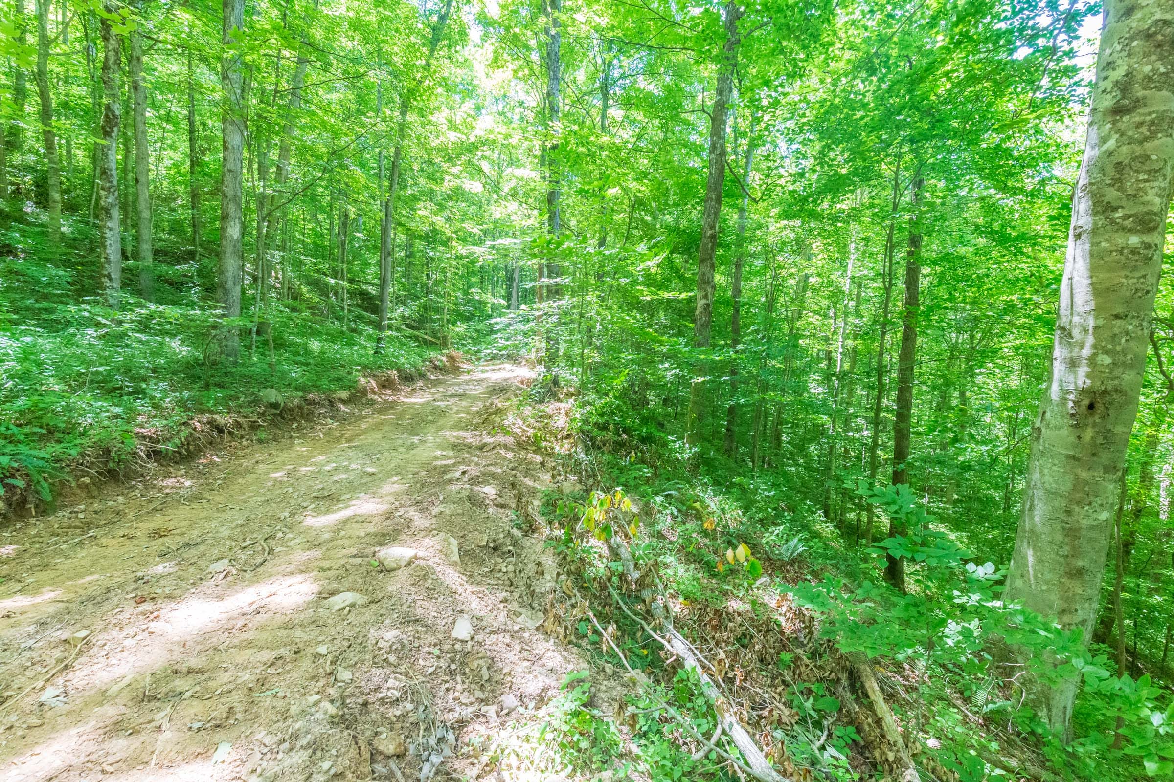 River’s Edge Tract 18 photo 19