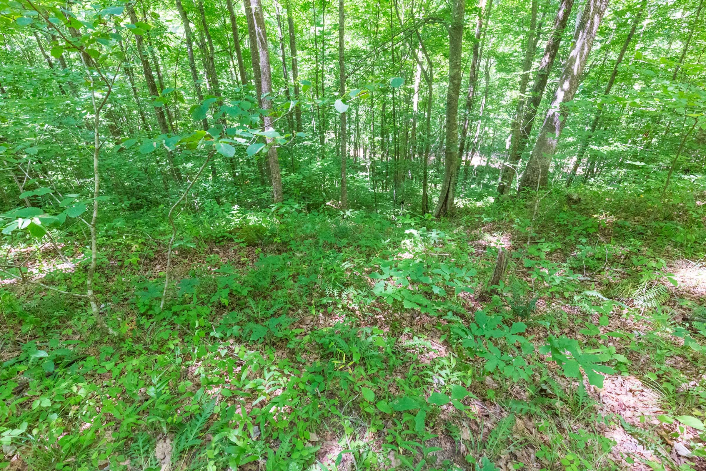 River’s Edge Tract 18 photo 21