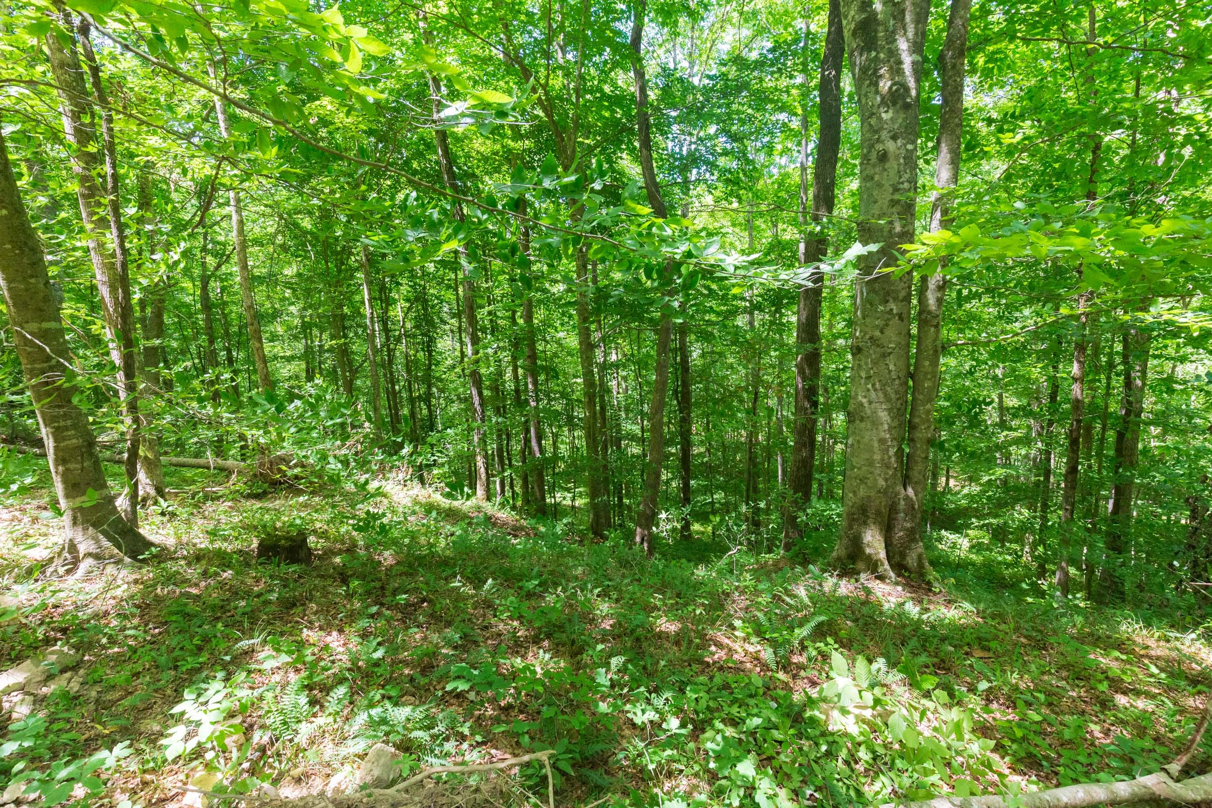 River’s Edge Tract 18 photo 26