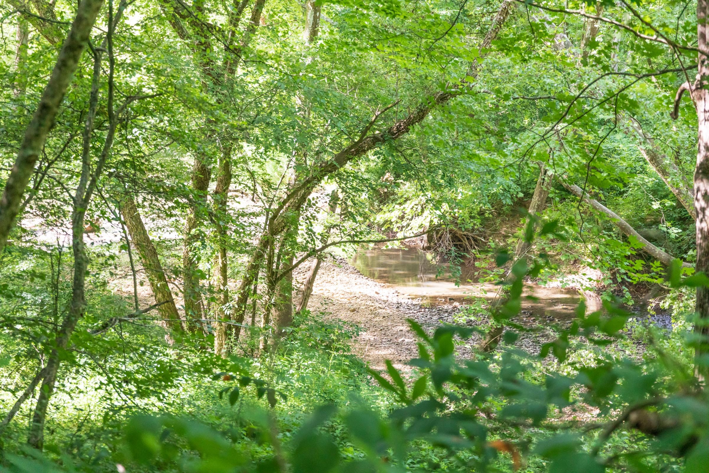 River’s Edge Tract 18 photo 30