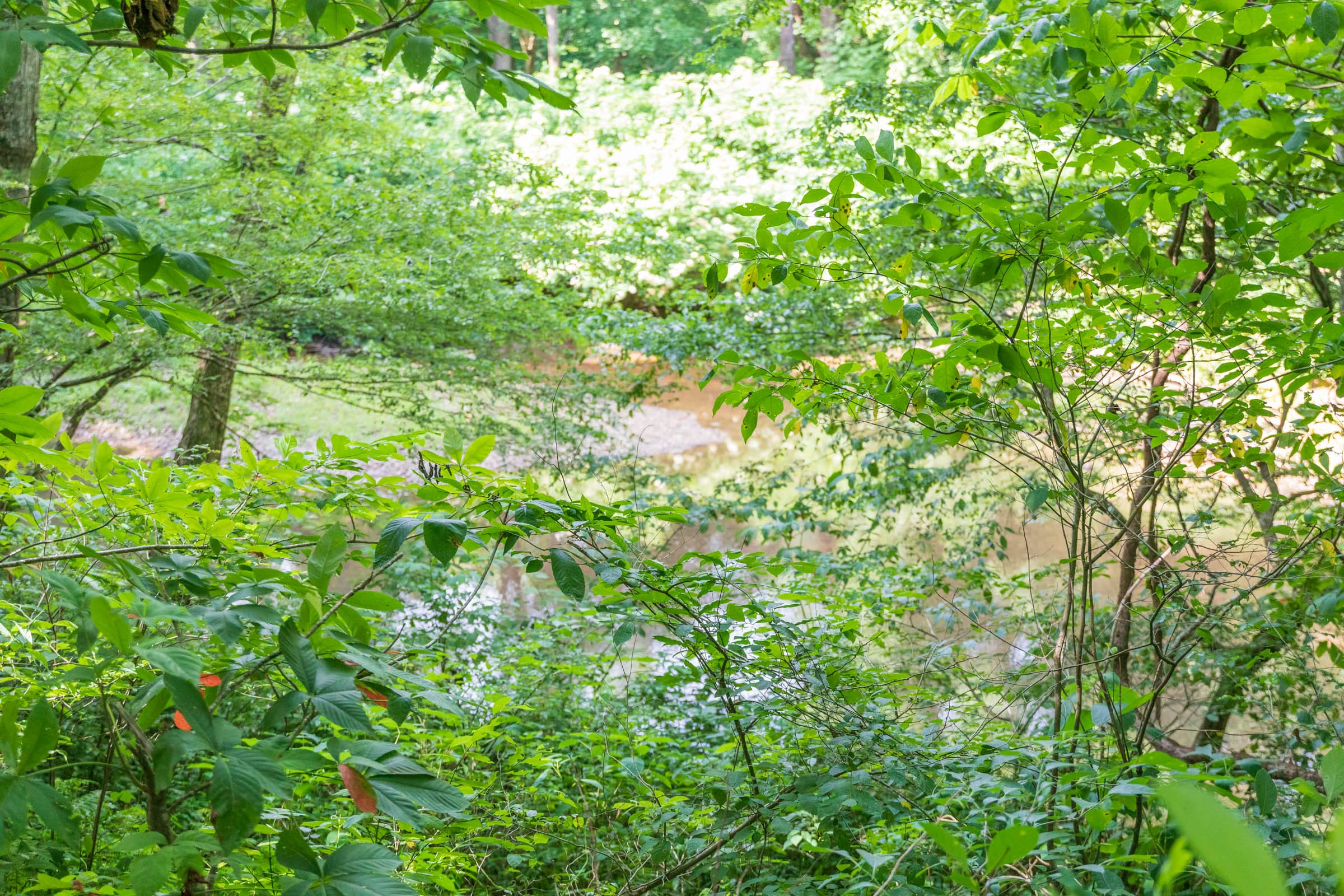 River’s Edge Tract 18 photo 3