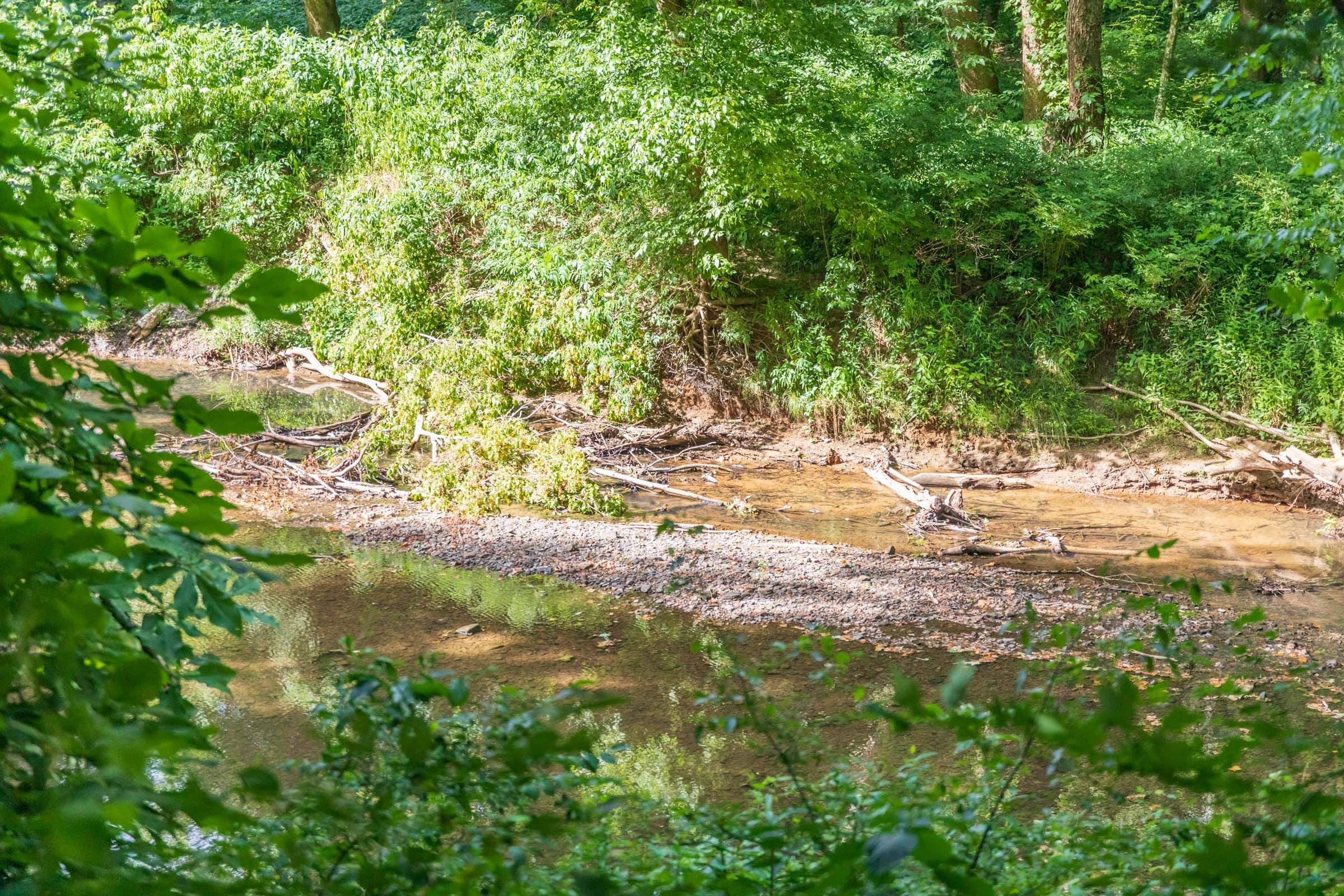 River’s Edge Tract 18 photo 2