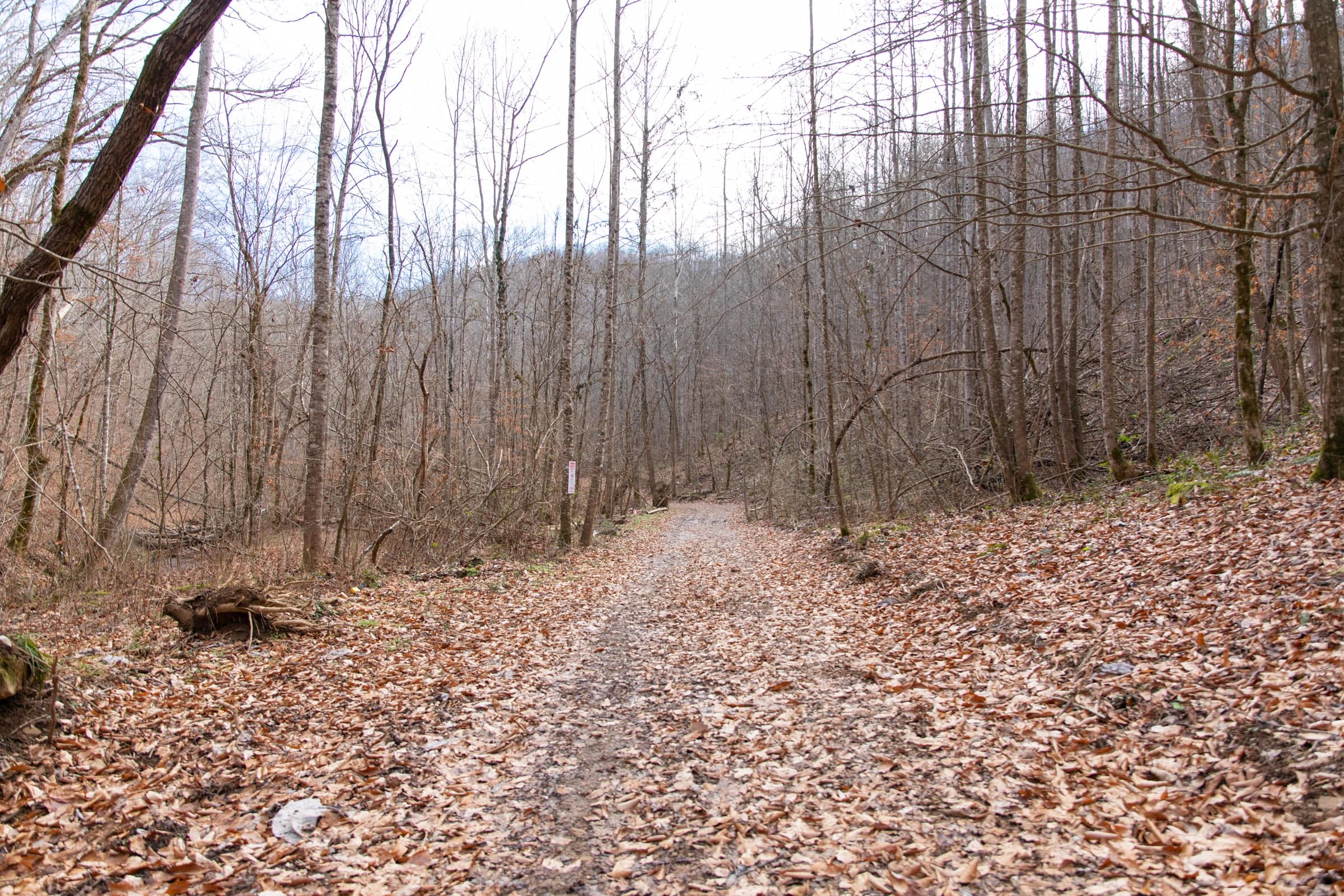 Blackstone Mountain Phase I Tract 52 photo 1