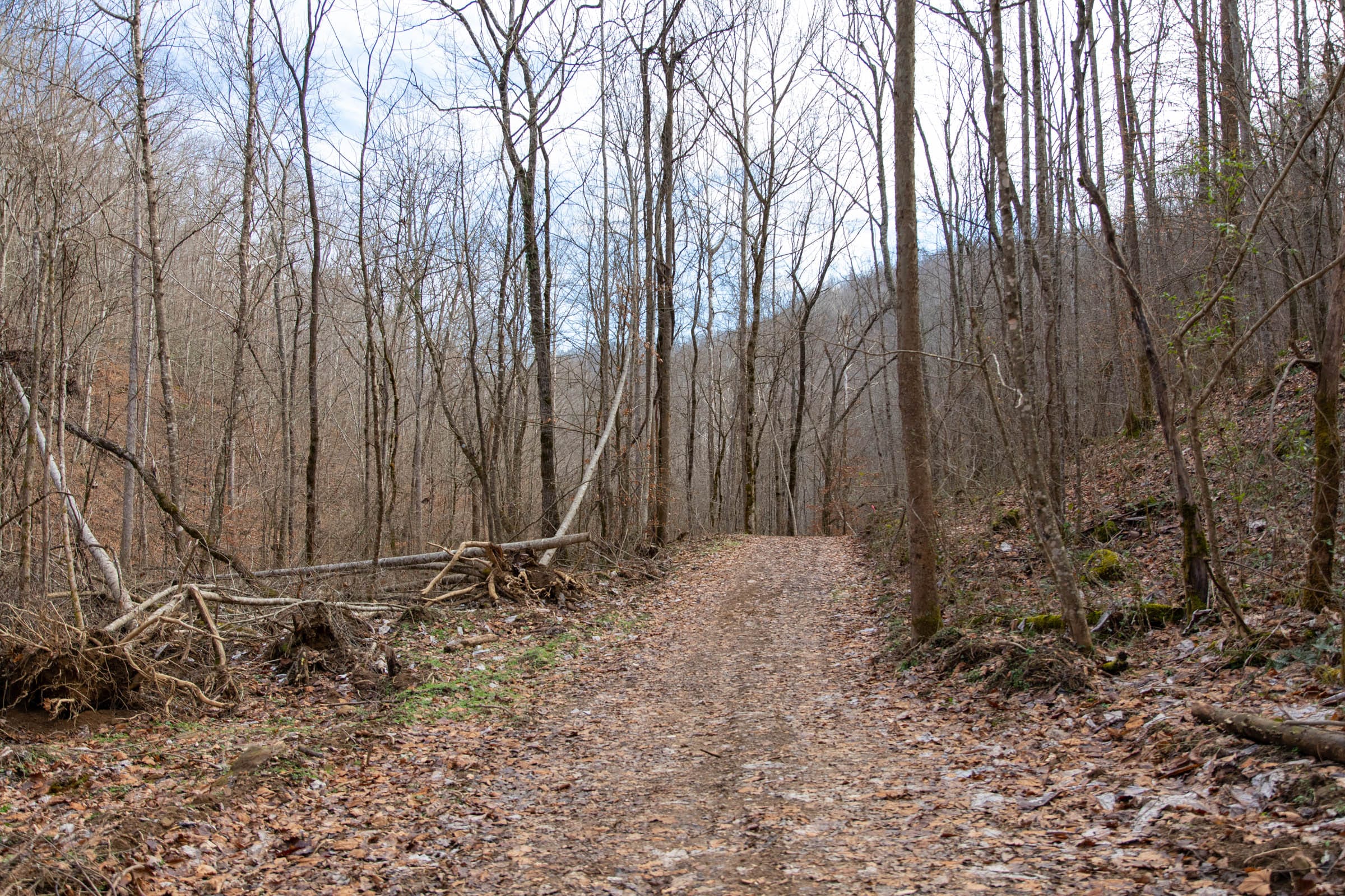 Blackstone Mountain Phase I Tract 52 photo 4
