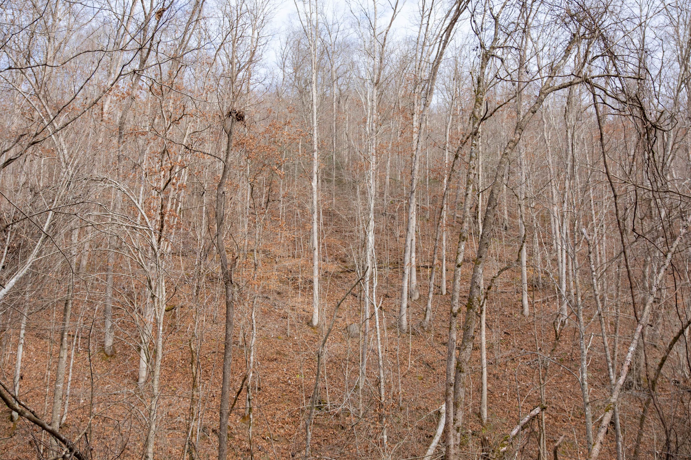 Blackstone Mountain Phase I Tract 52 photo 5