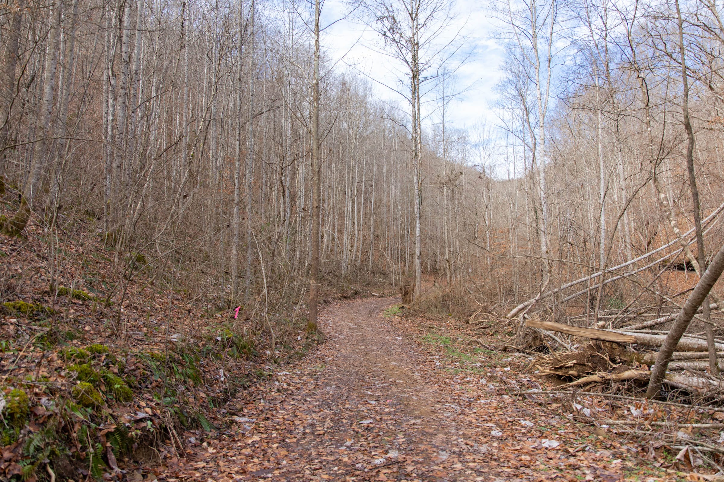 Blackstone Mountain Phase I Tract 52 photo 6