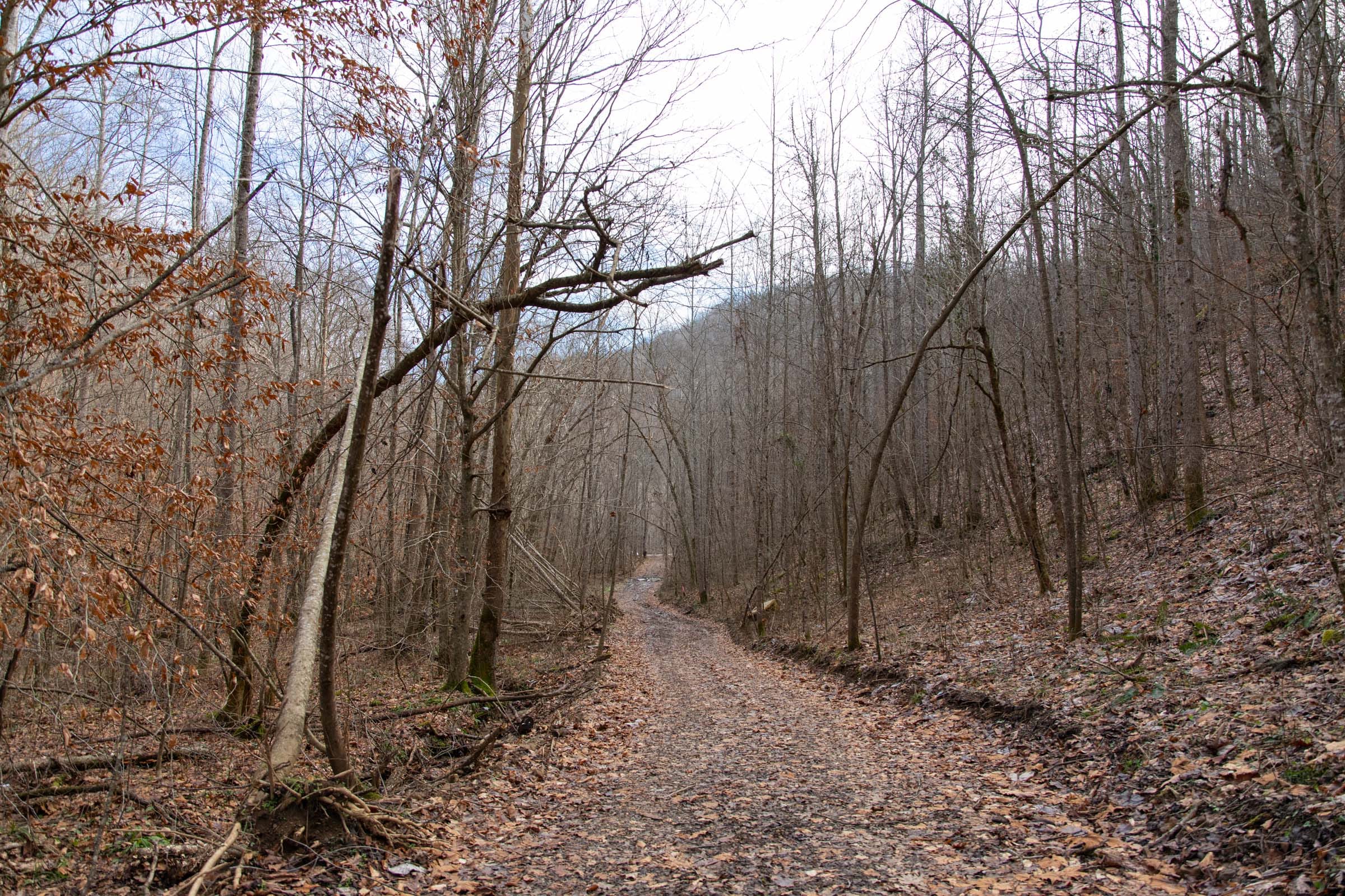Blackstone Mountain Phase I Tract 52 photo 9