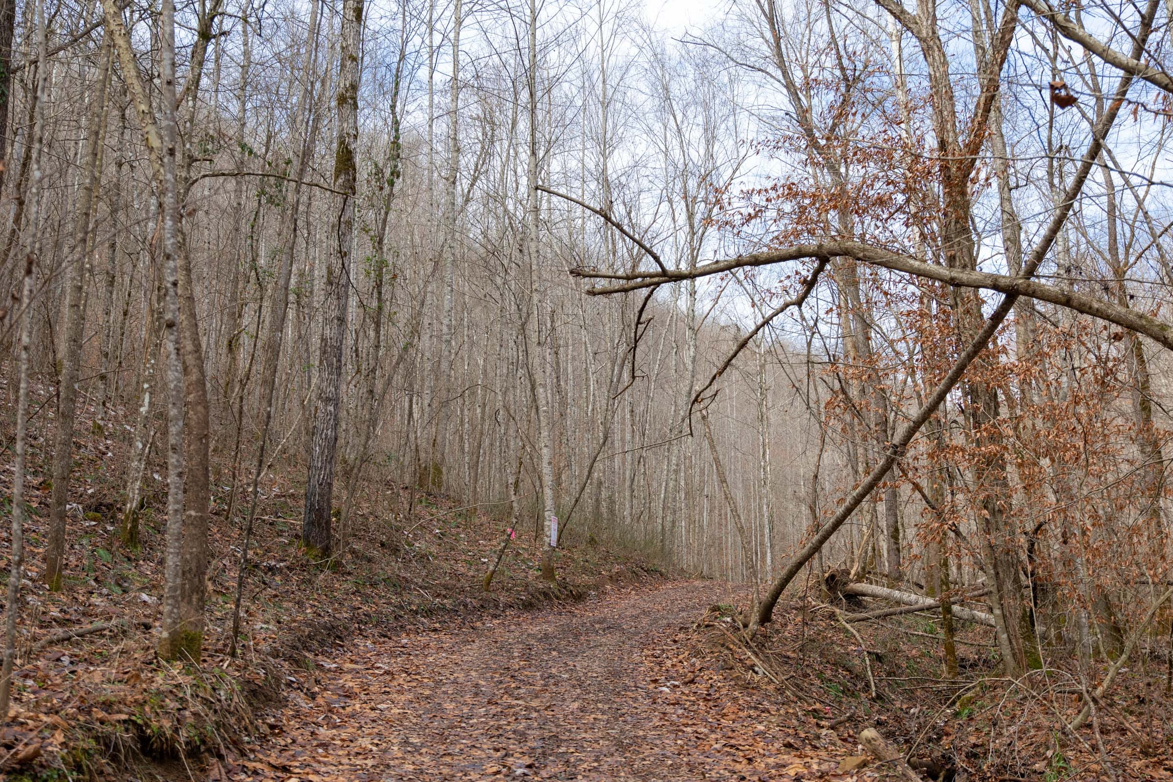 Blackstone Mountain Phase I Tract 52 photo 11