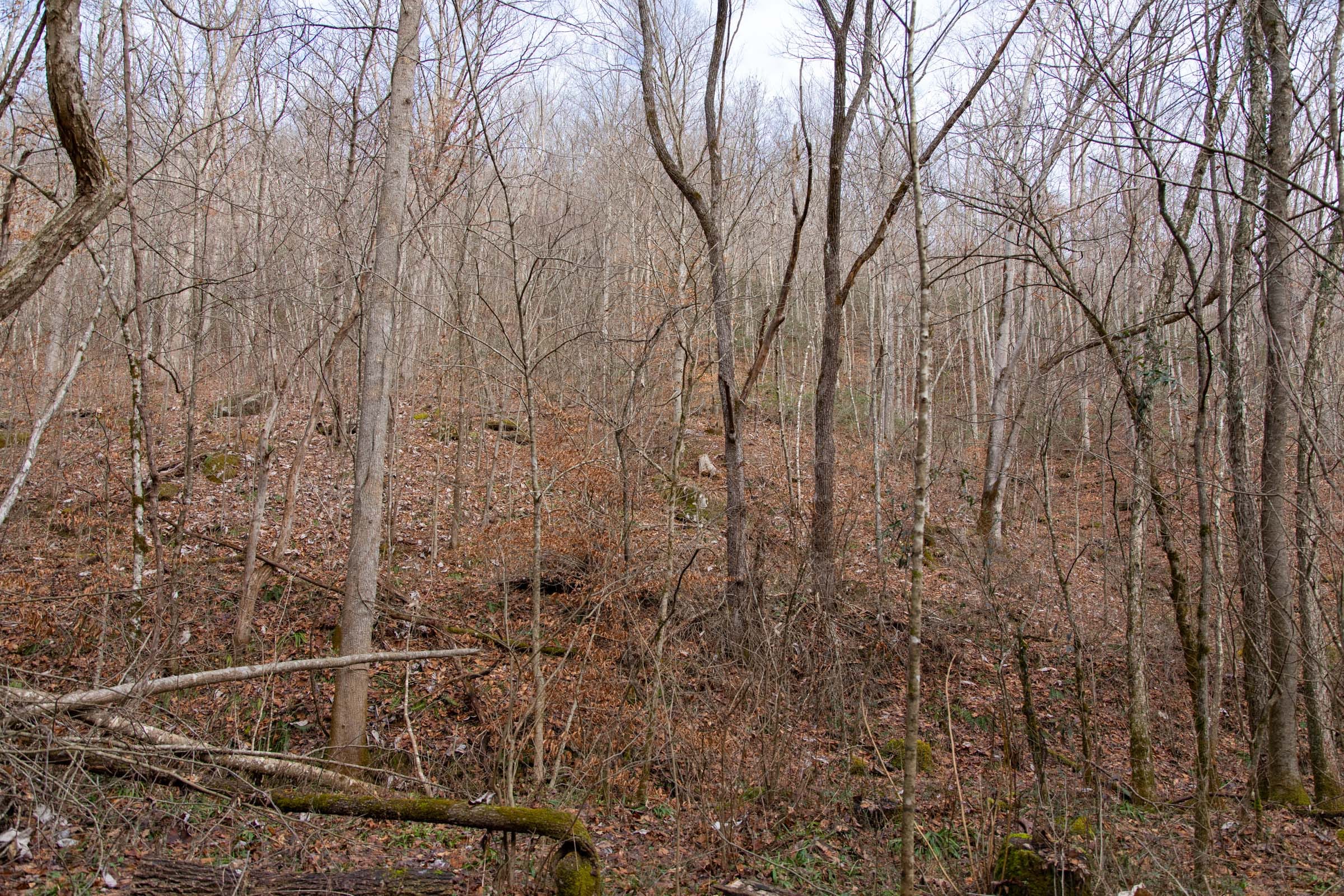 Blackstone Mountain Phase I Tract 52 photo 12
