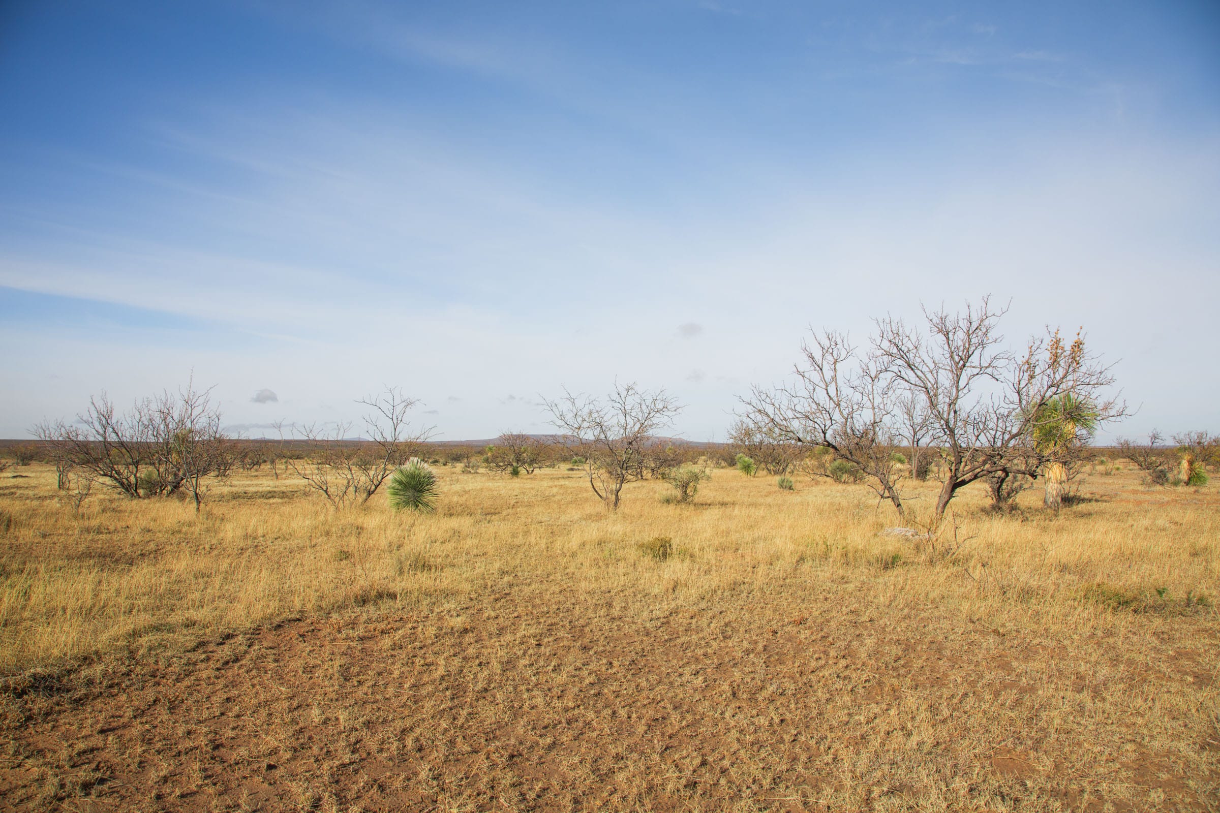 Sunset Ranches Tract 2 photo 4