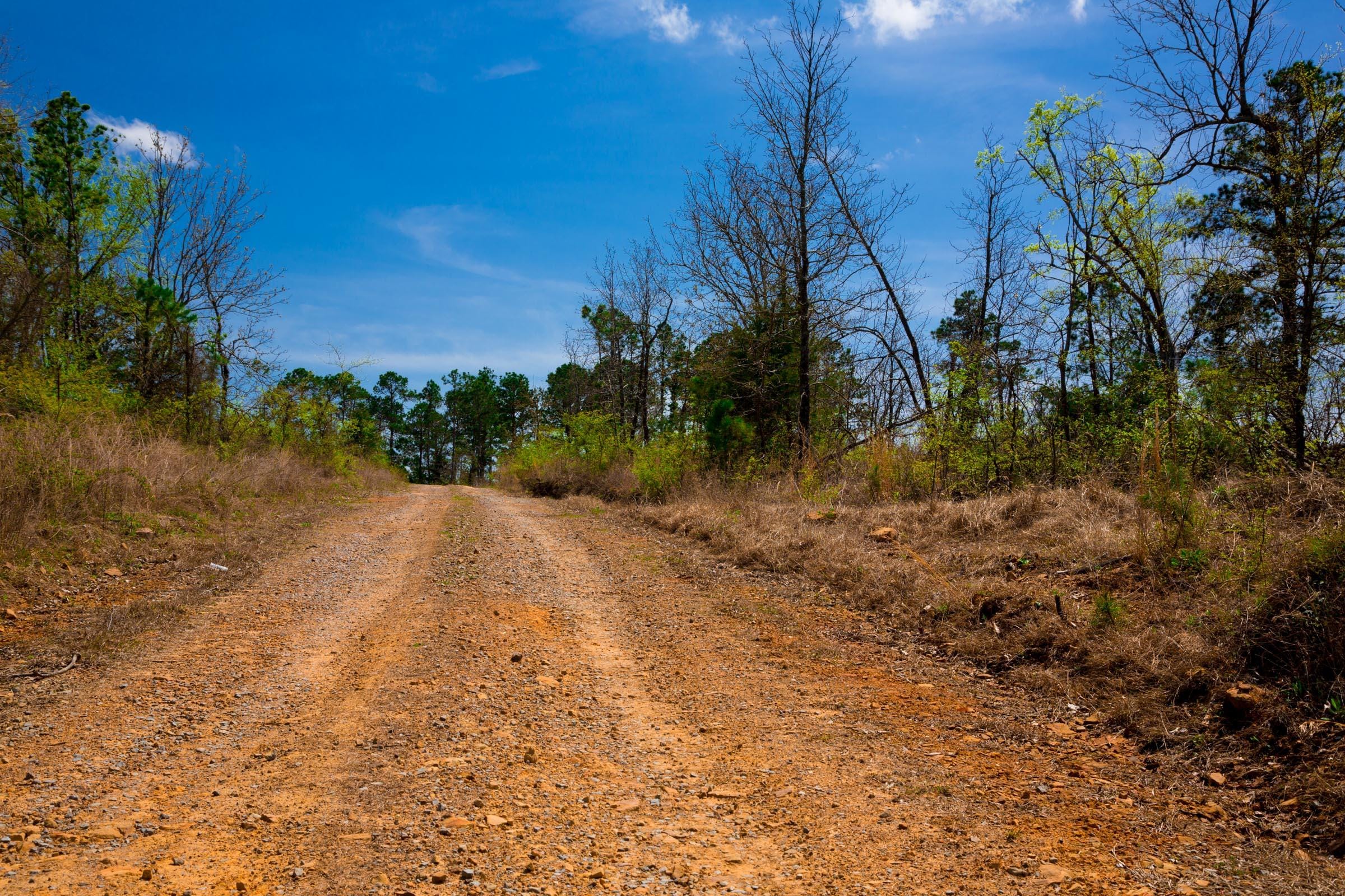 Stone Creek Phase II Tract 250 photo 5