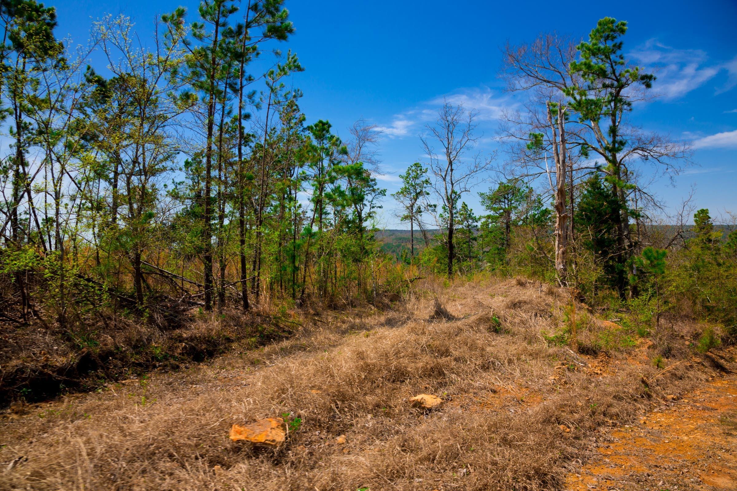Stone Creek Phase II Tract 250 photo 4