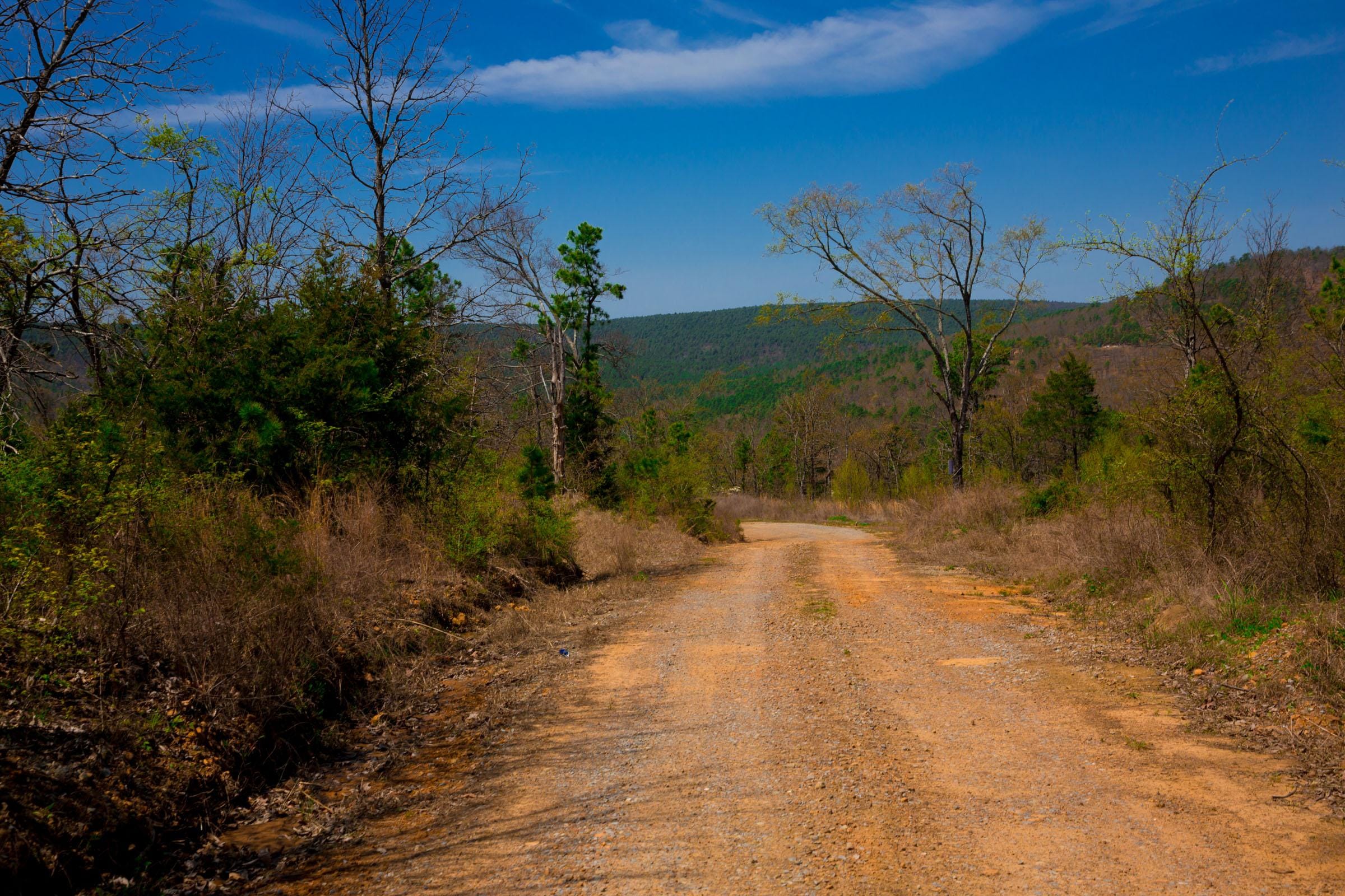 Stone Creek Phase II Tract 250 photo 8