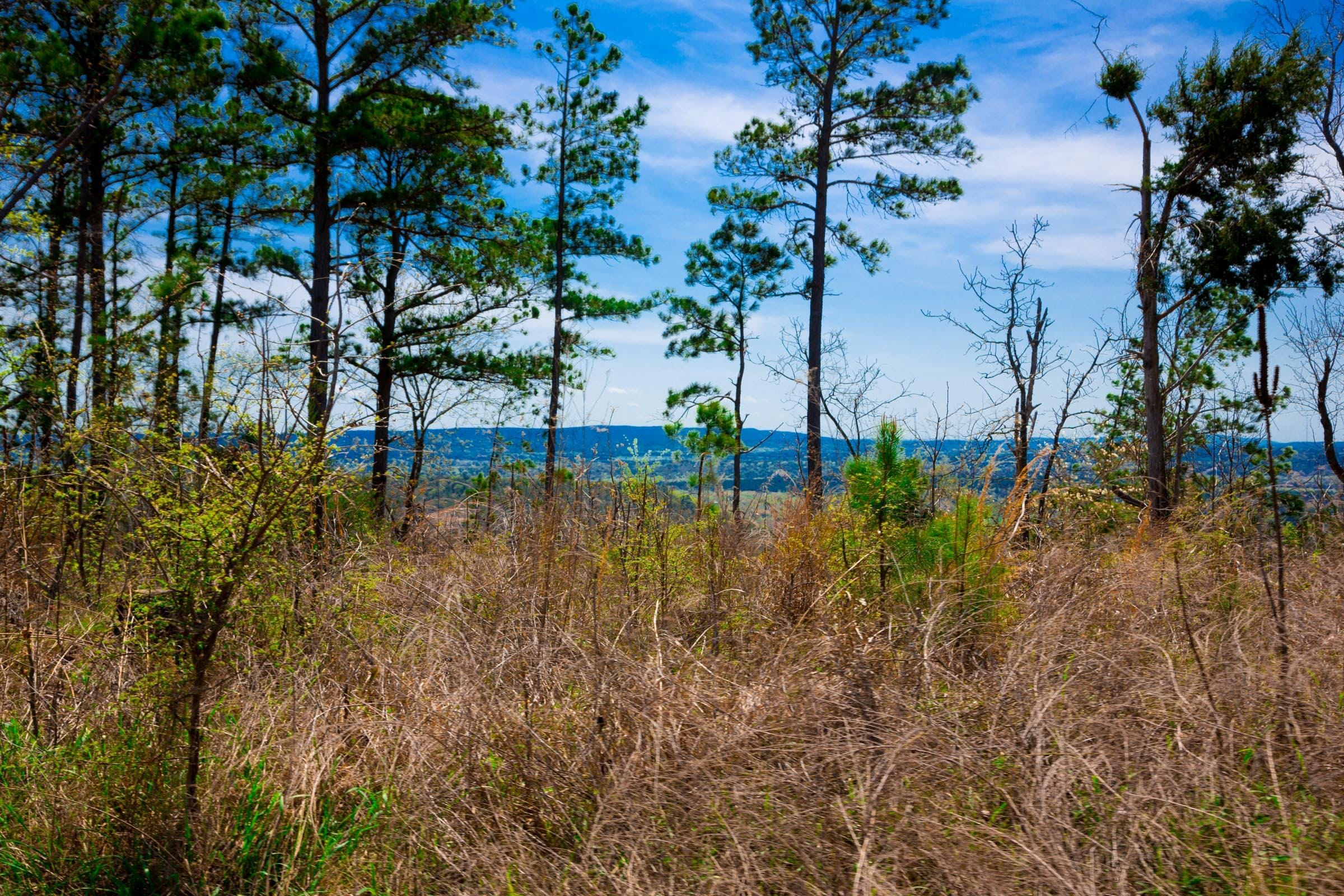 Stone Creek Phase II Tract 250 photo 6