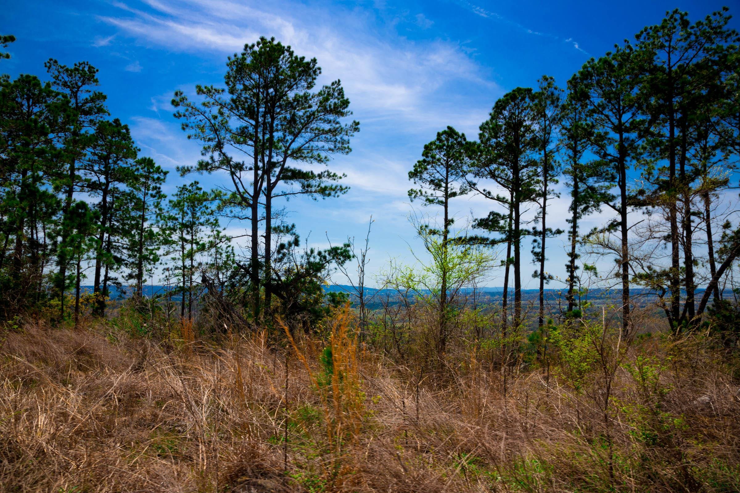 Stone Creek Phase II Tract 250 photo 10