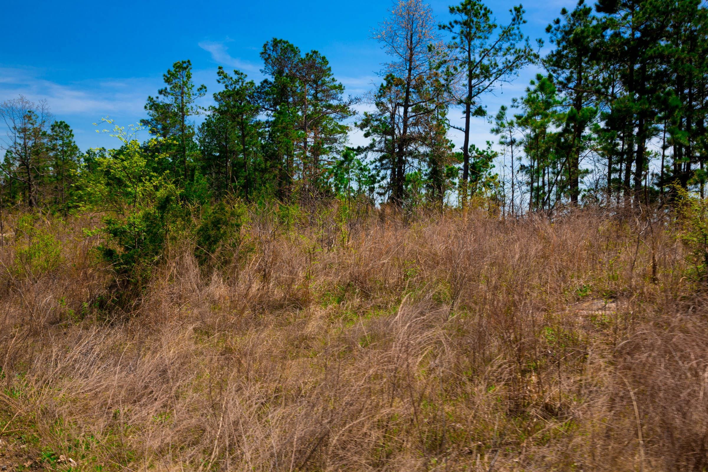 Stone Creek Phase II Tract 250 photo 11