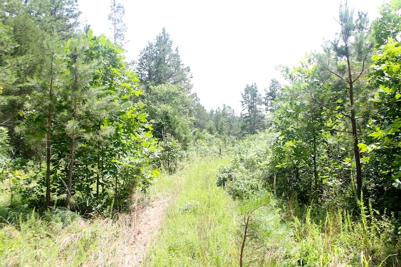 Green Mountain Ranch Tract 53 photo 2