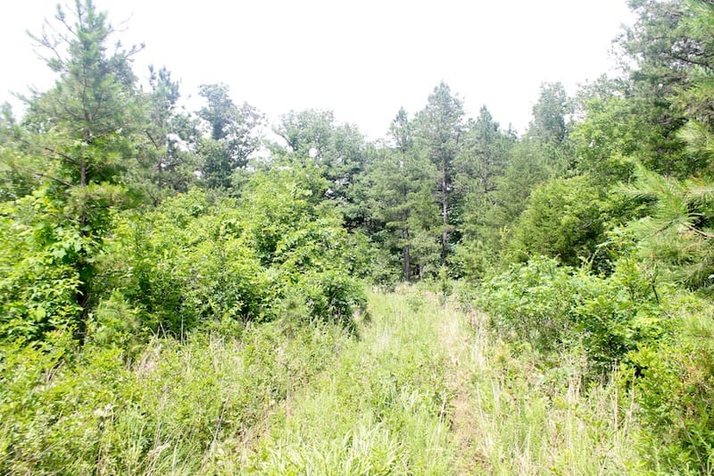 Green Mountain Ranch Tract 53 photo 8