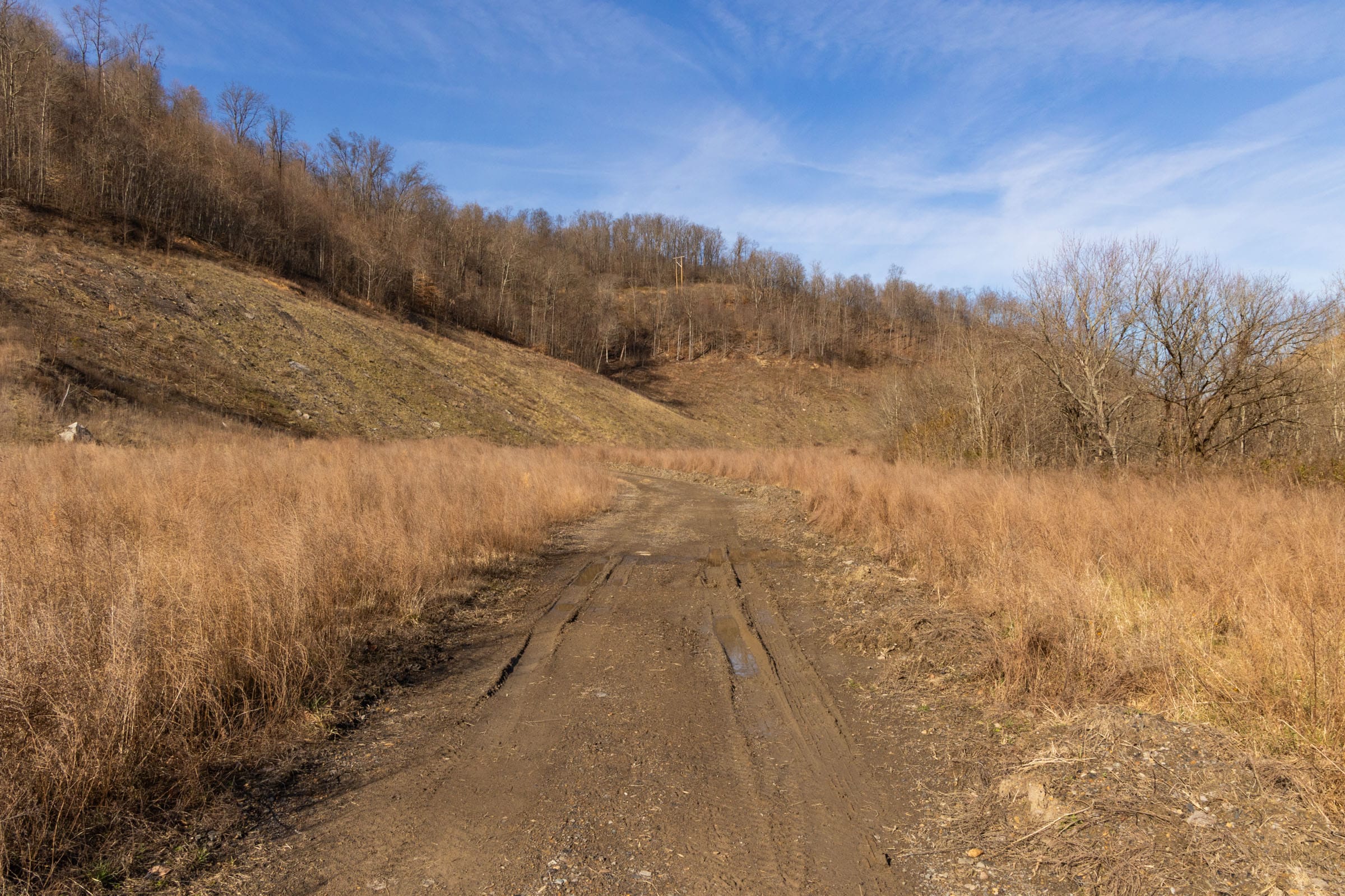 Jade Pass Tract 5 photo 3
