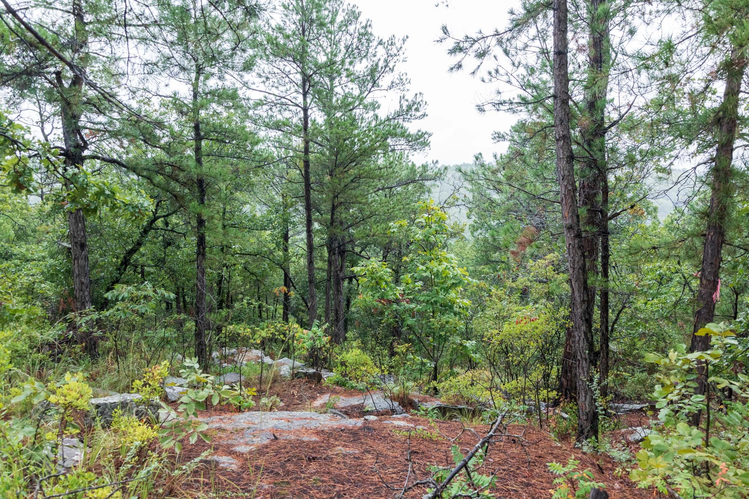 Stone Bridge Phase V Tract 427 photo 11