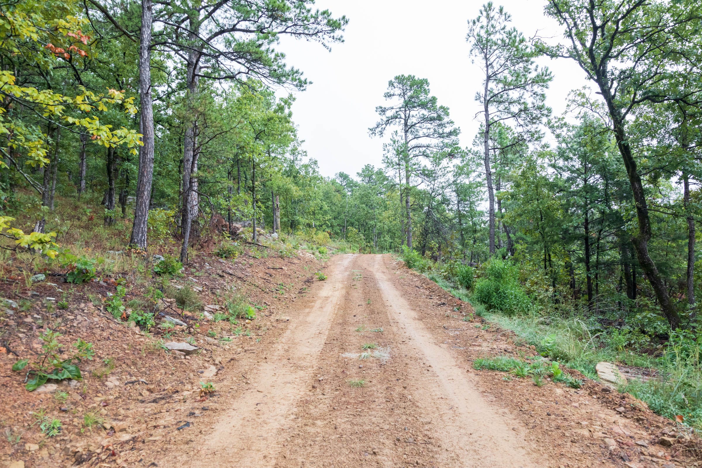 Stone Bridge Phase V Tract 427 photo 12