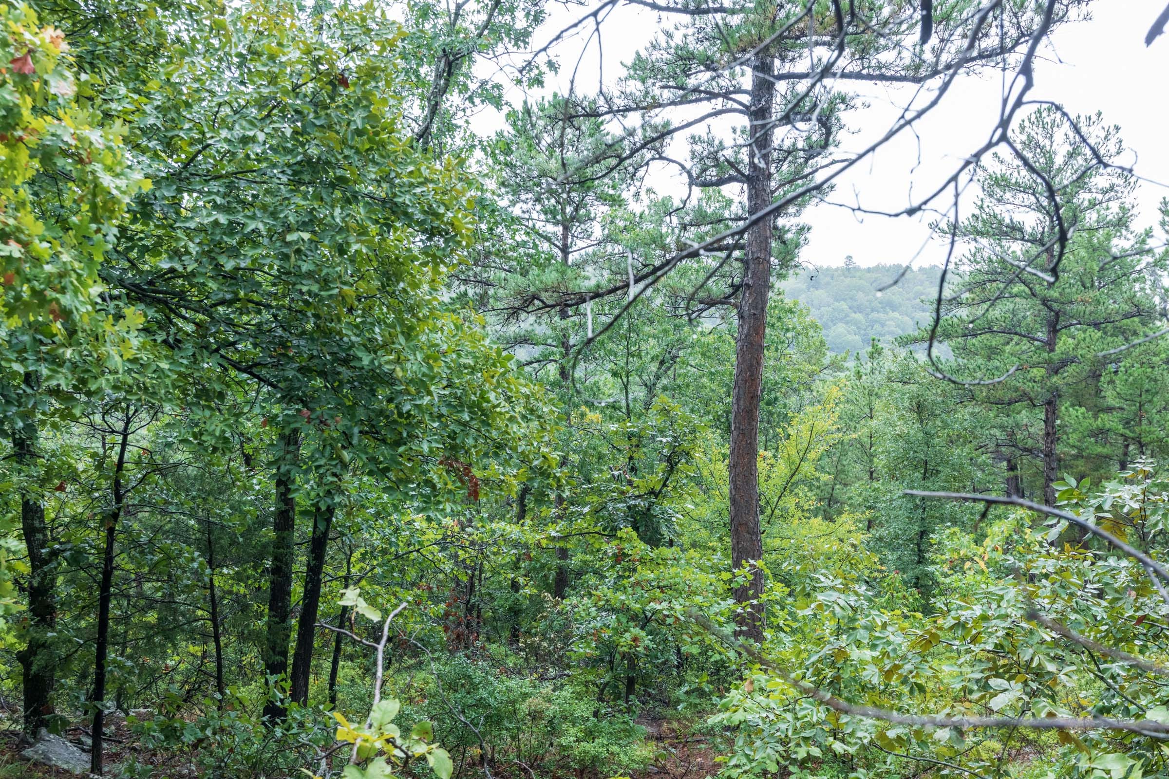 Stone Bridge Phase V Tract 427 photo 13