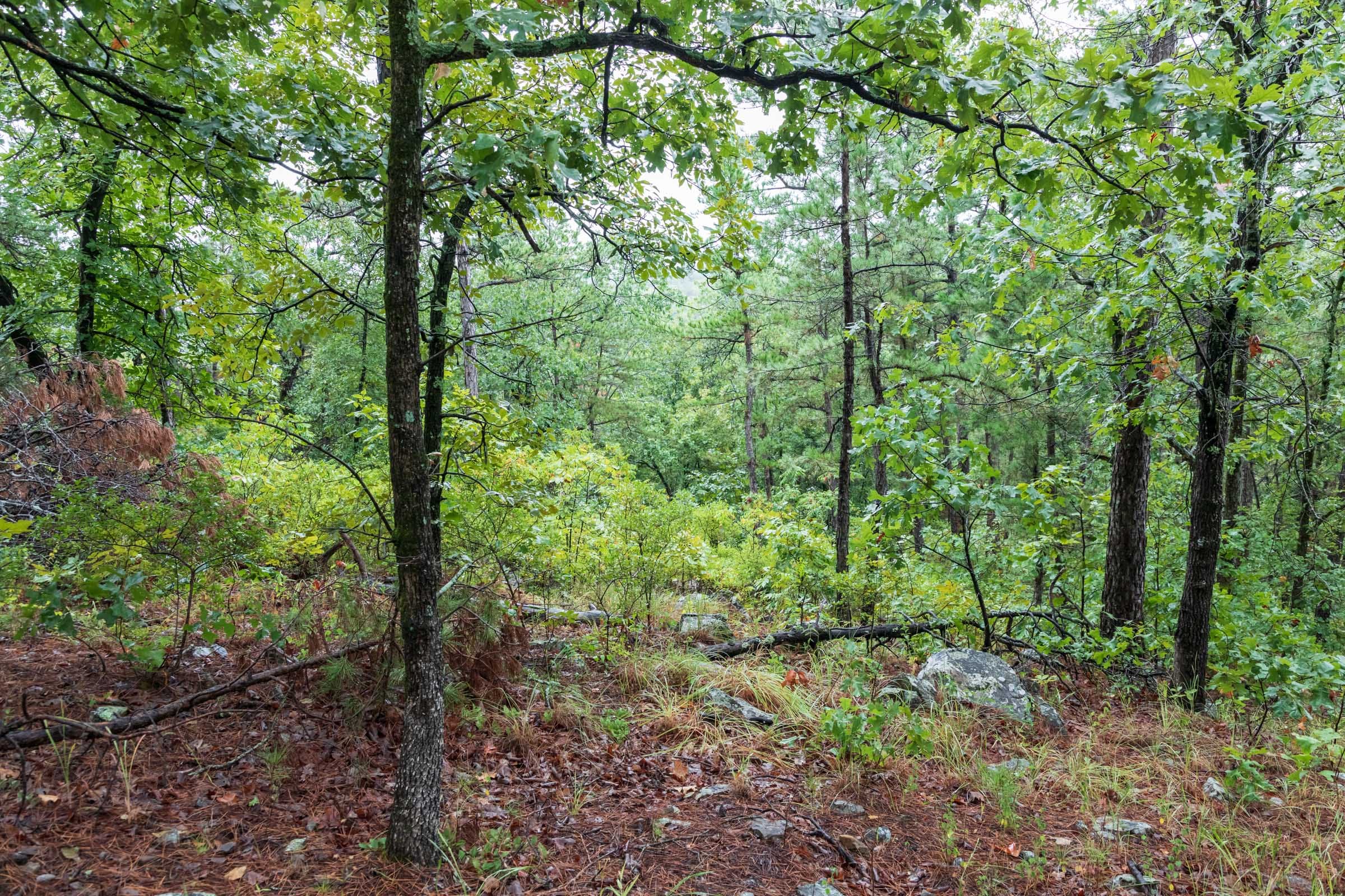 Stone Bridge Phase V Tract 427 photo 15