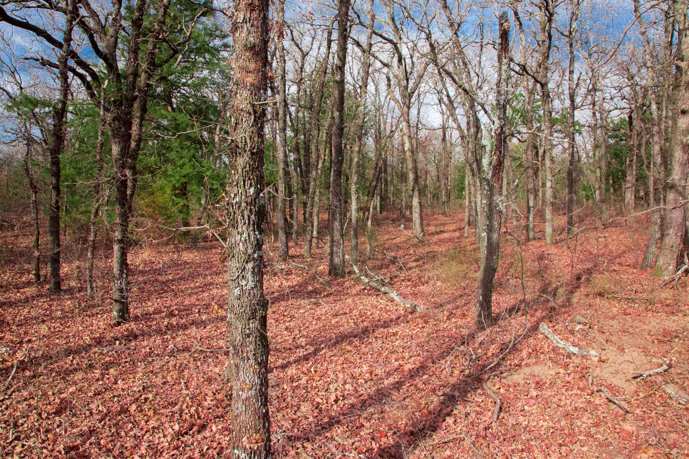 Legacy Ranch Tract 19 photo 3
