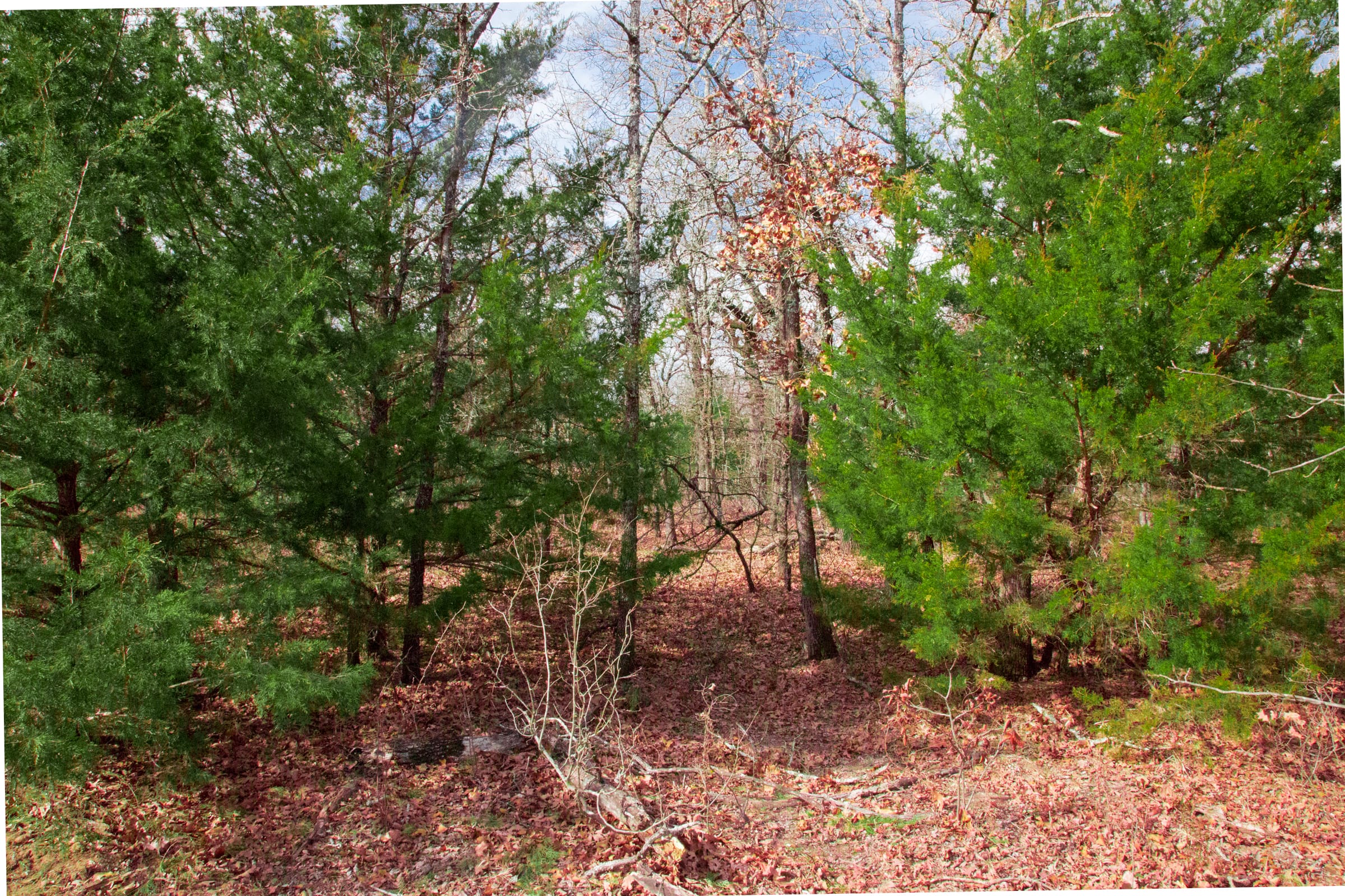 Legacy Ranch Tract 19 photo 7