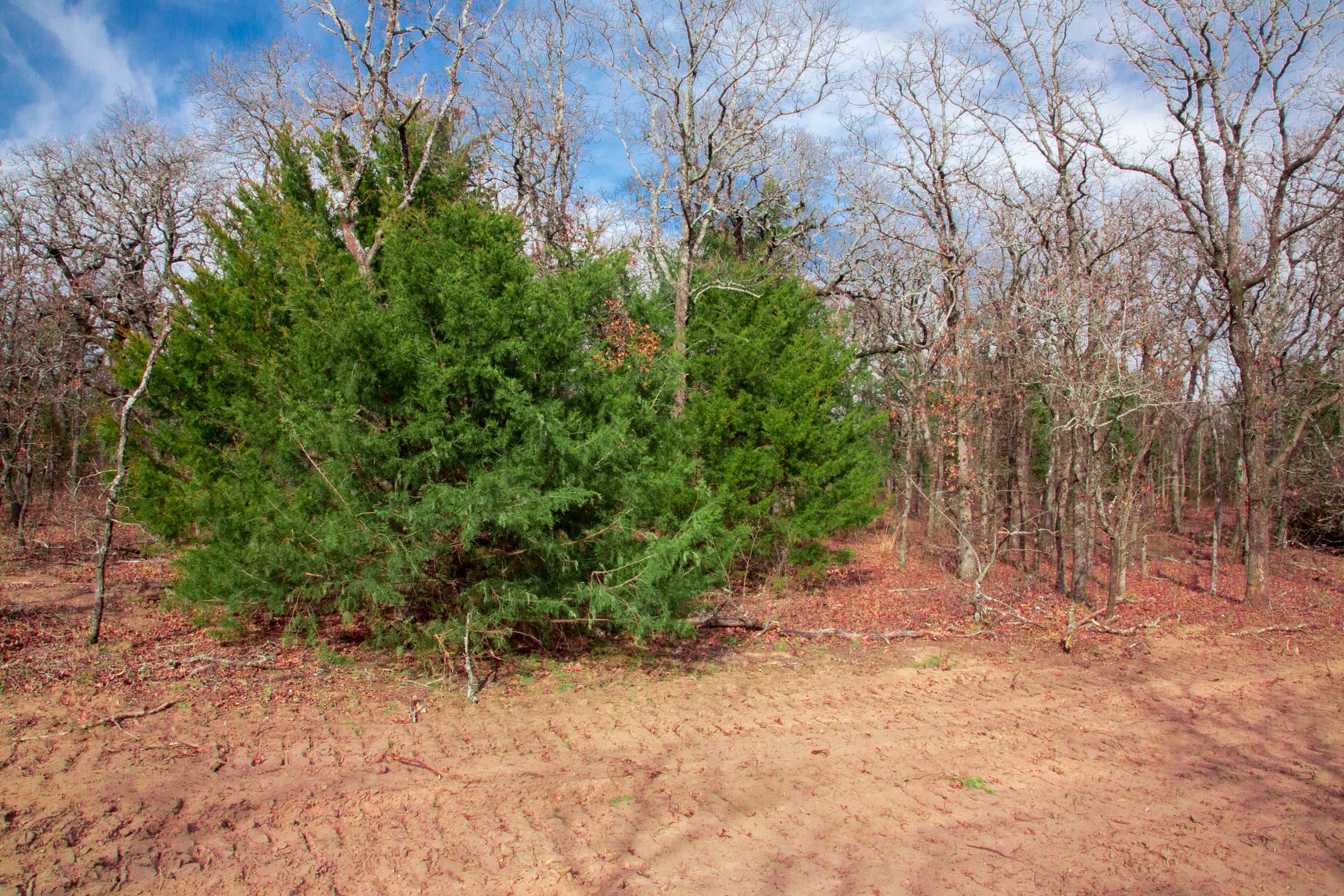 Legacy Ranch Tract 19 photo 8