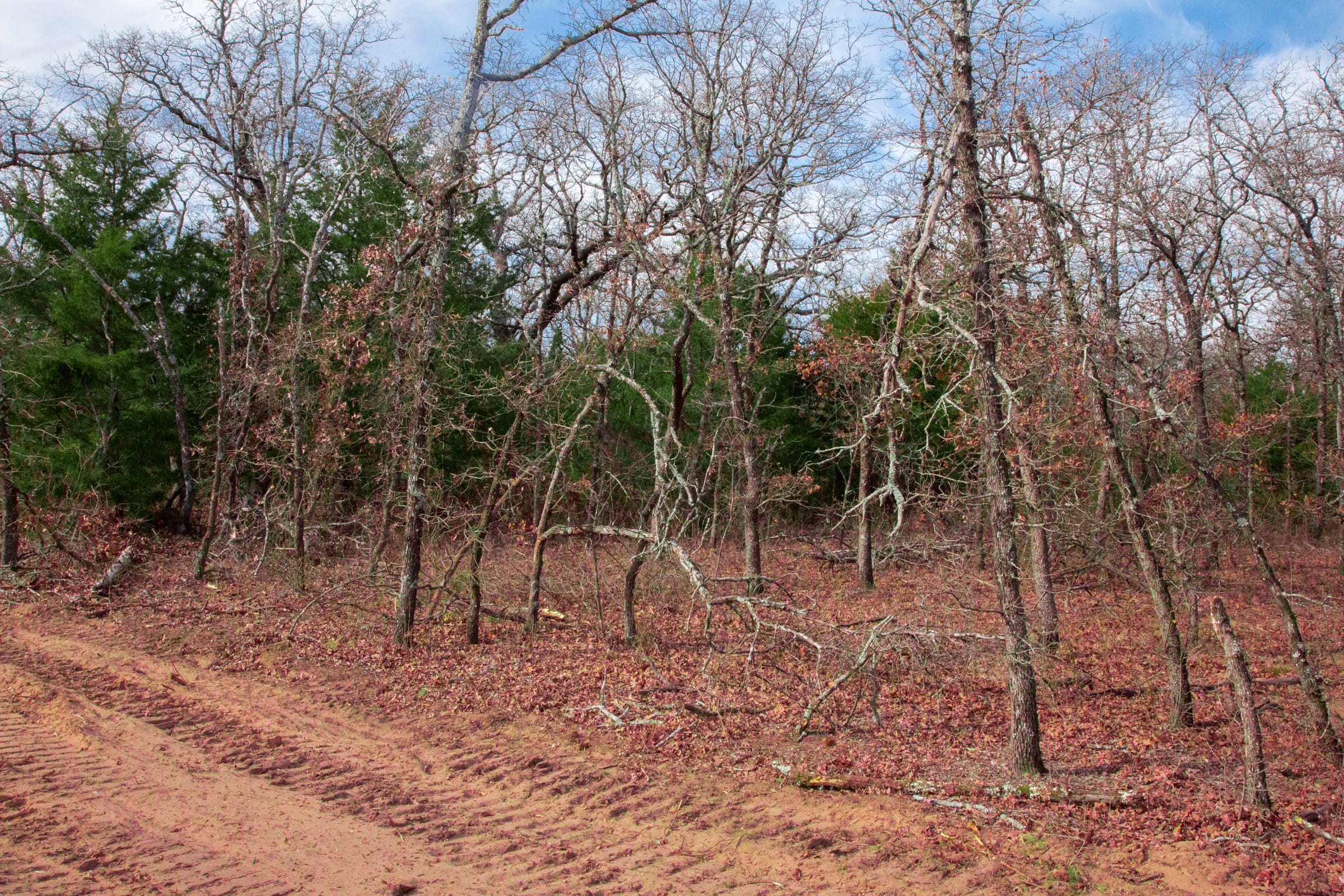 Legacy Ranch Tract 19 photo 9