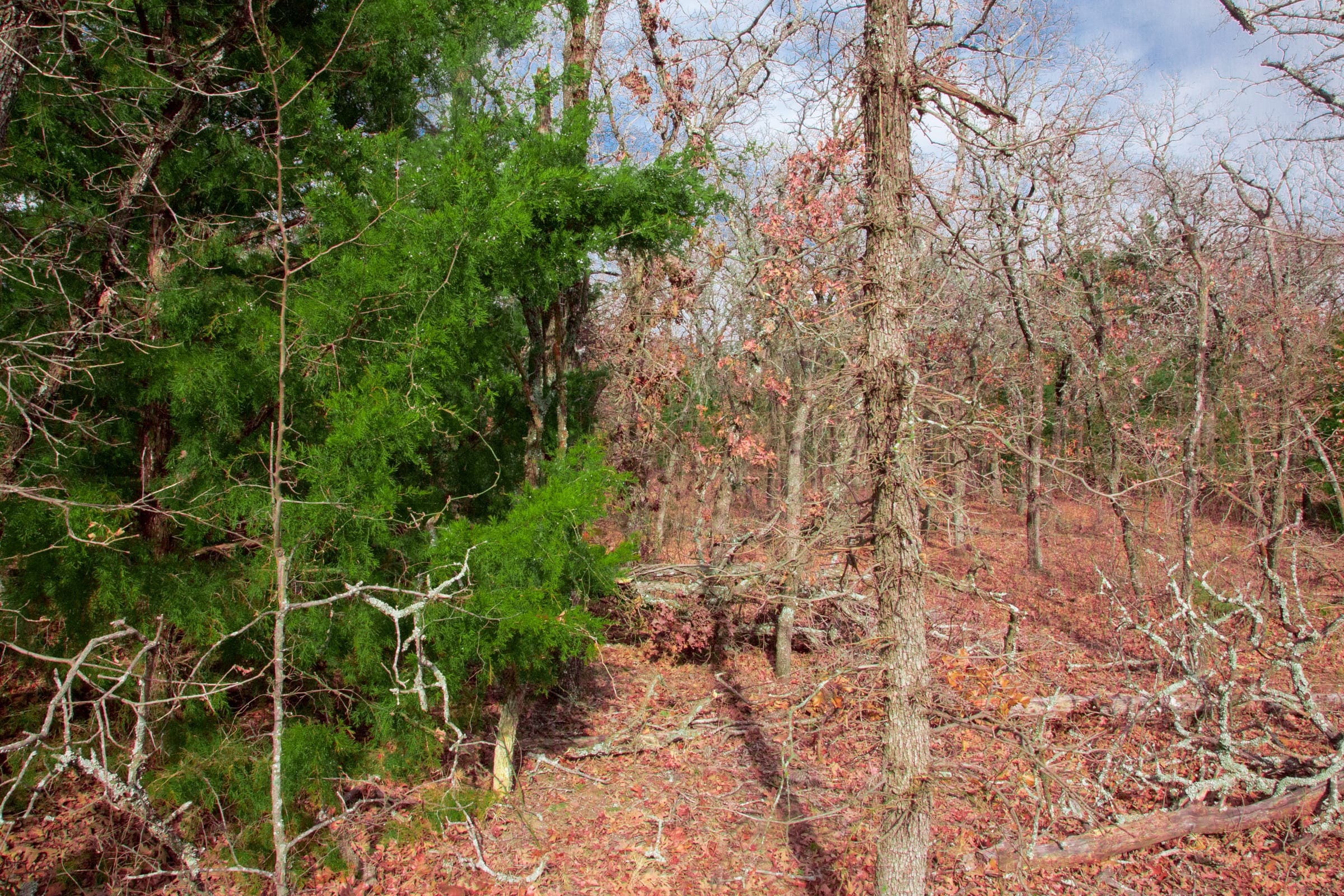 Legacy Ranch Tract 19 photo 10