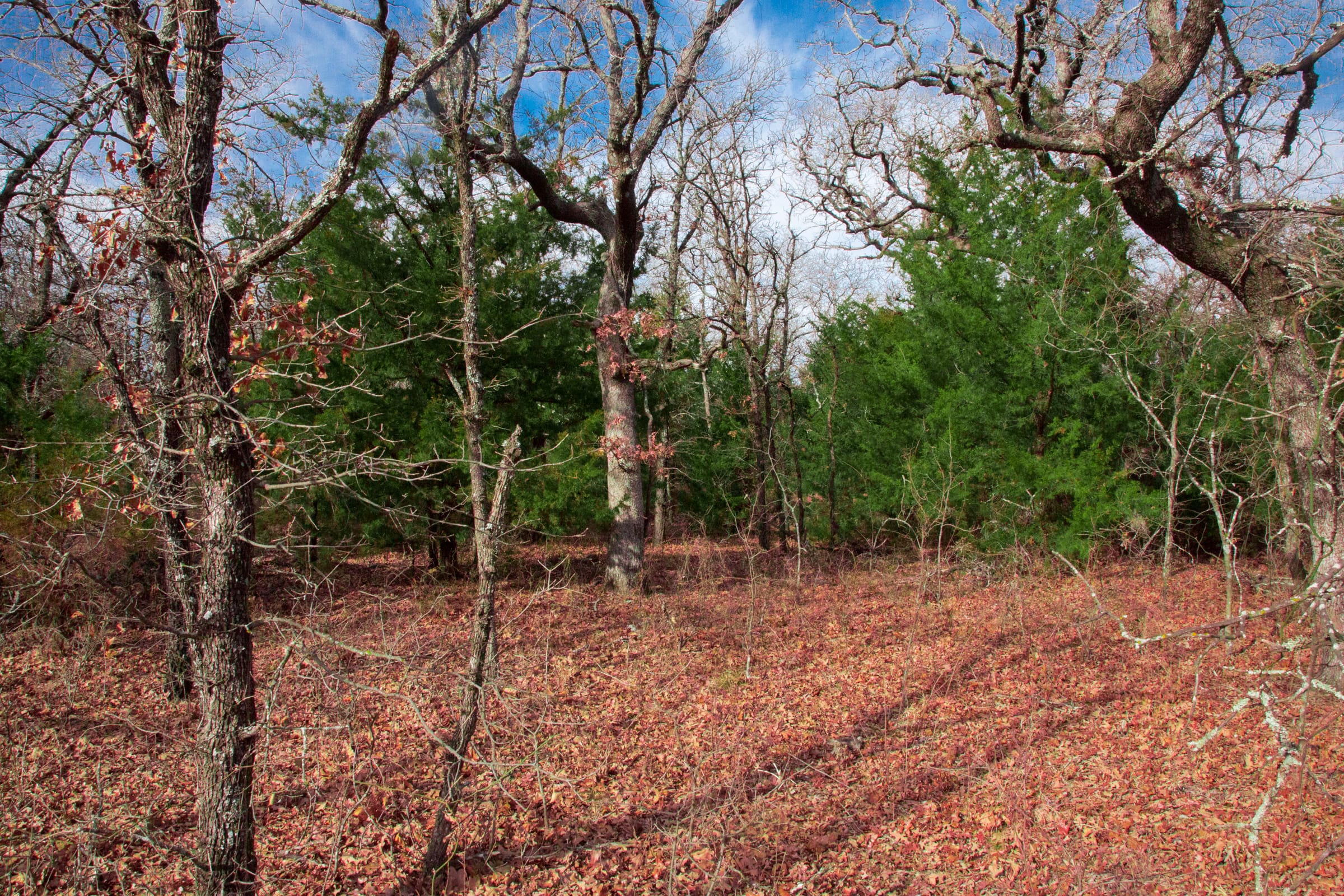 Legacy Ranch Tract 19 photo 11
