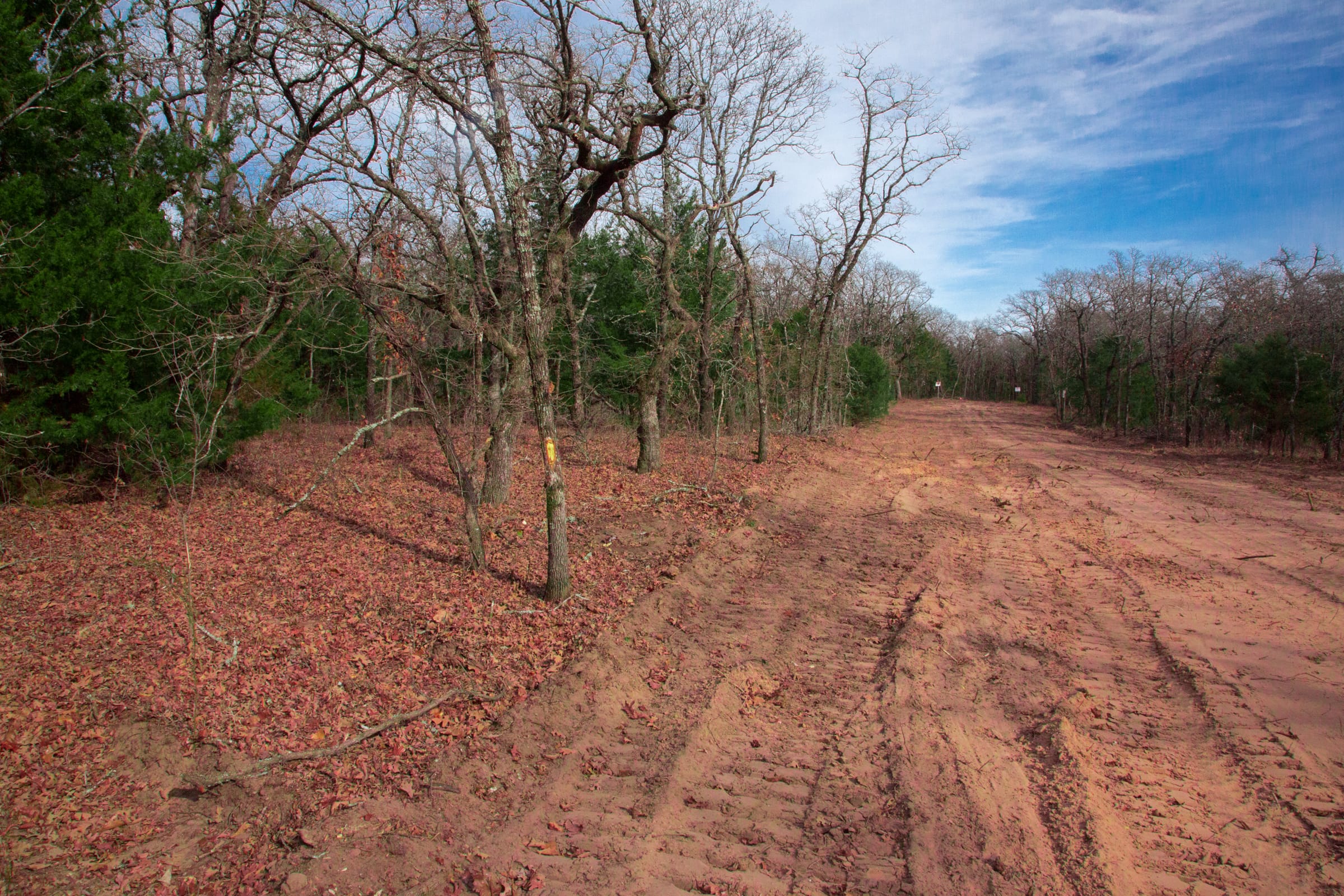 Legacy Ranch Tract 19 photo 13