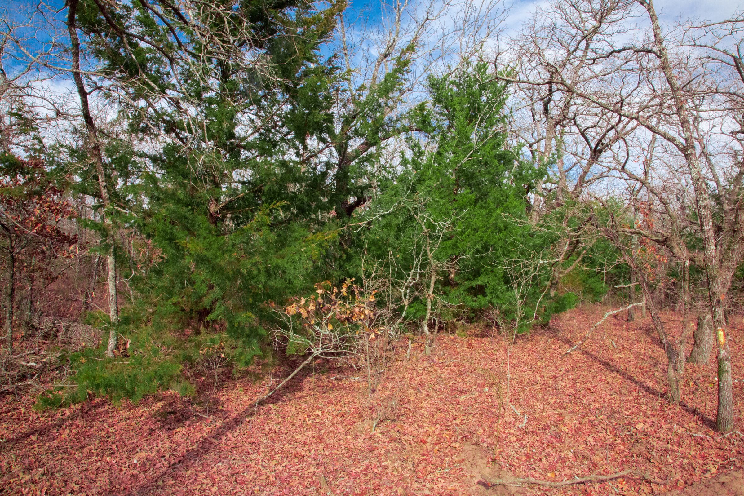 Legacy Ranch Tract 19 photo 14