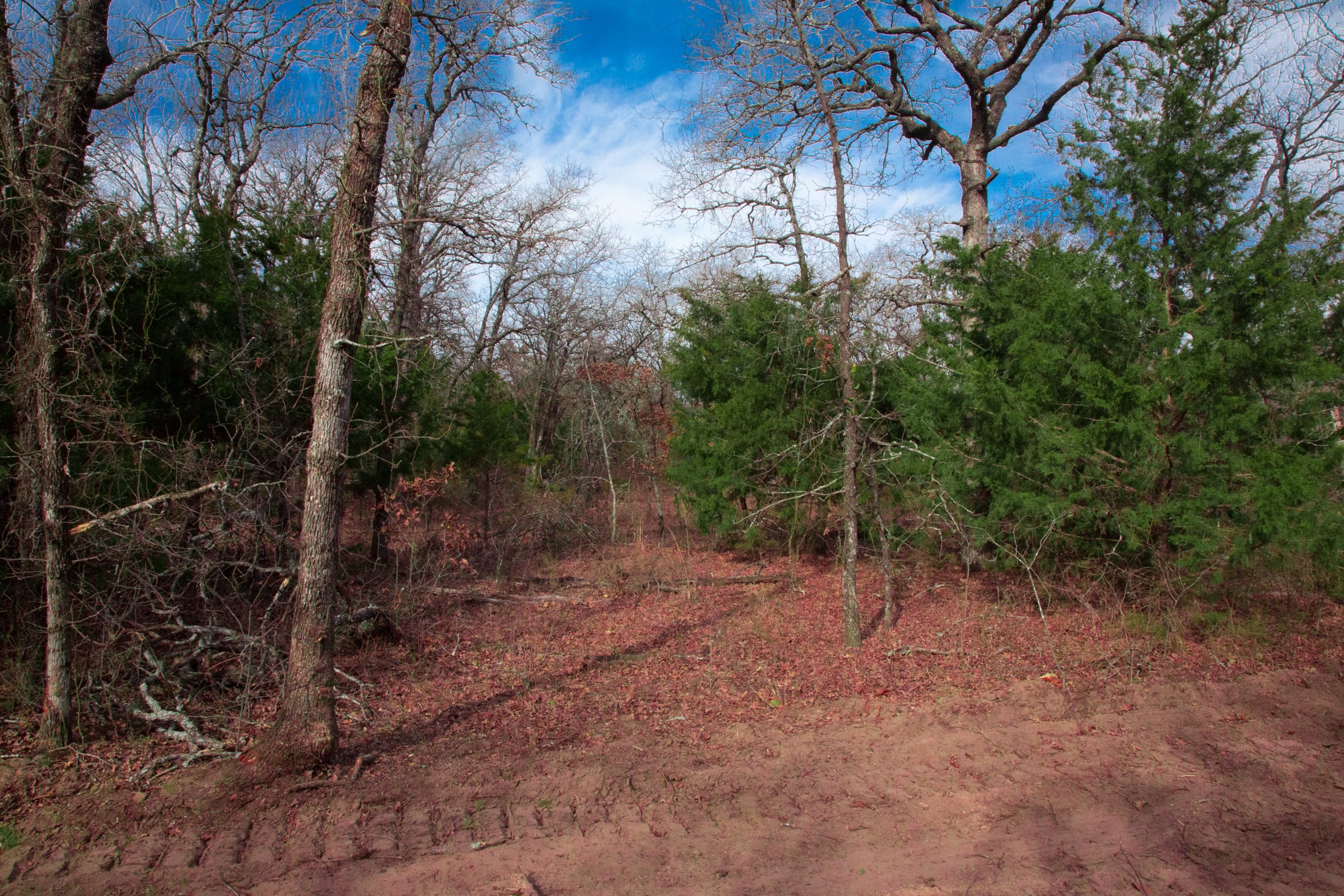 Legacy Ranch Tract 19 photo 15