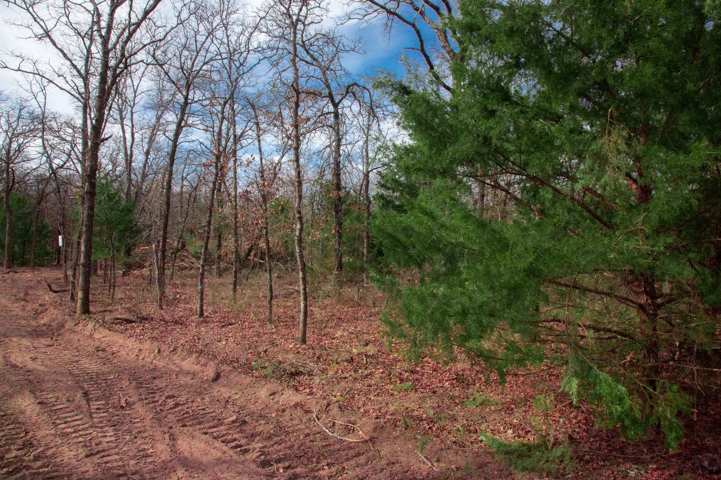 Legacy Ranch Tract 19 photo 16