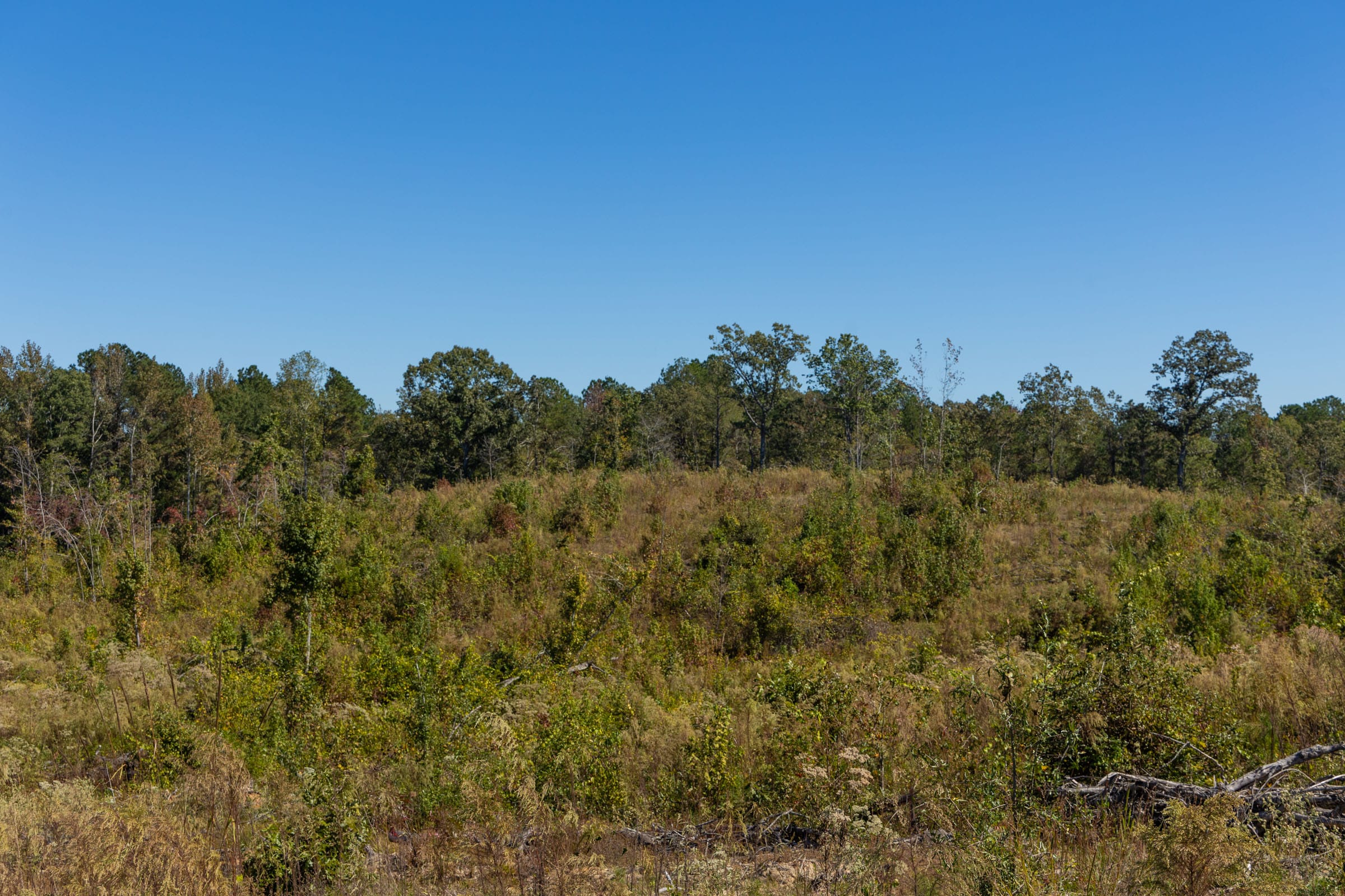 Meyer’s Ridge Tract 15 photo 10