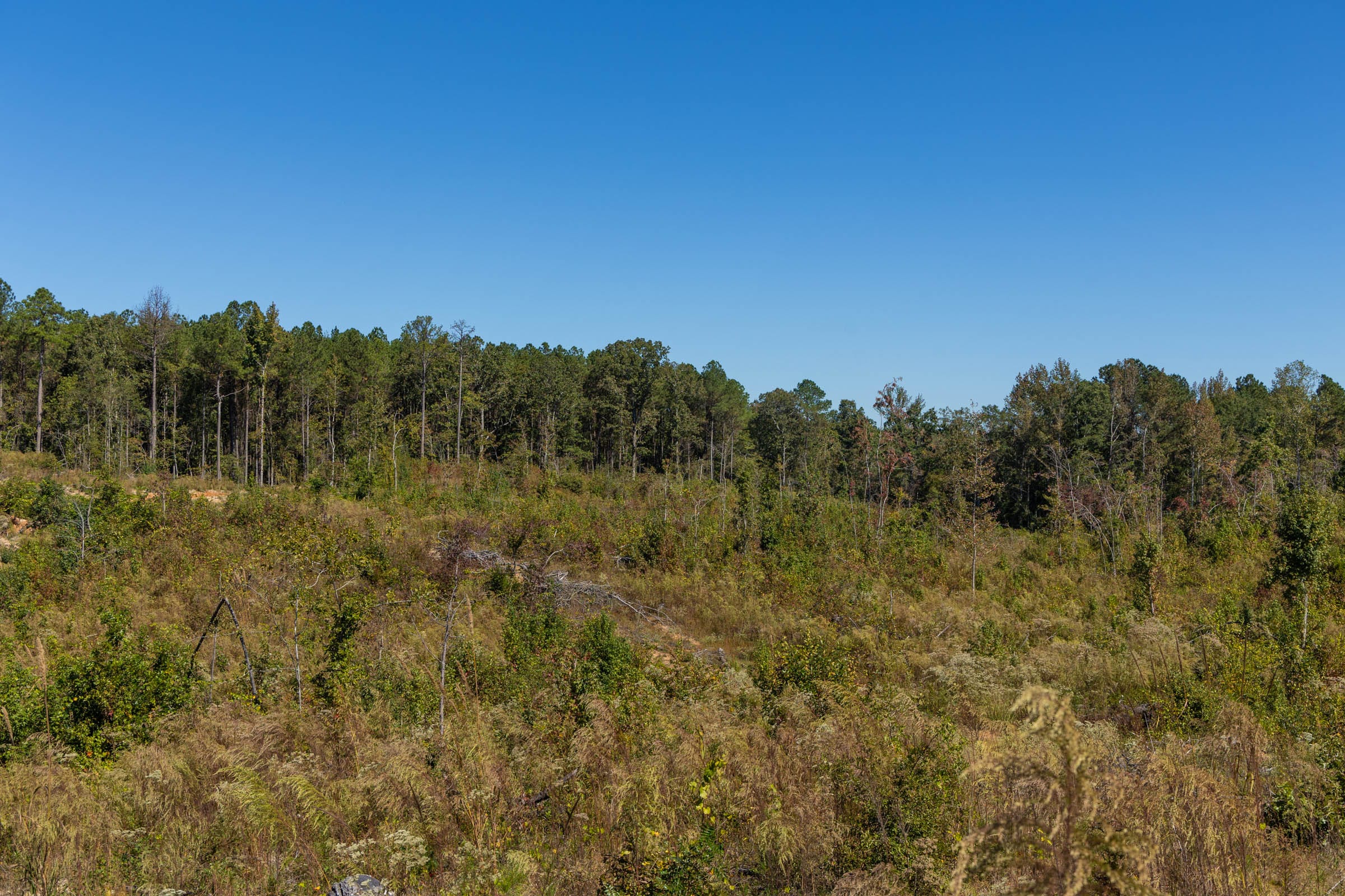 Meyer’s Ridge Tract 15 photo 8
