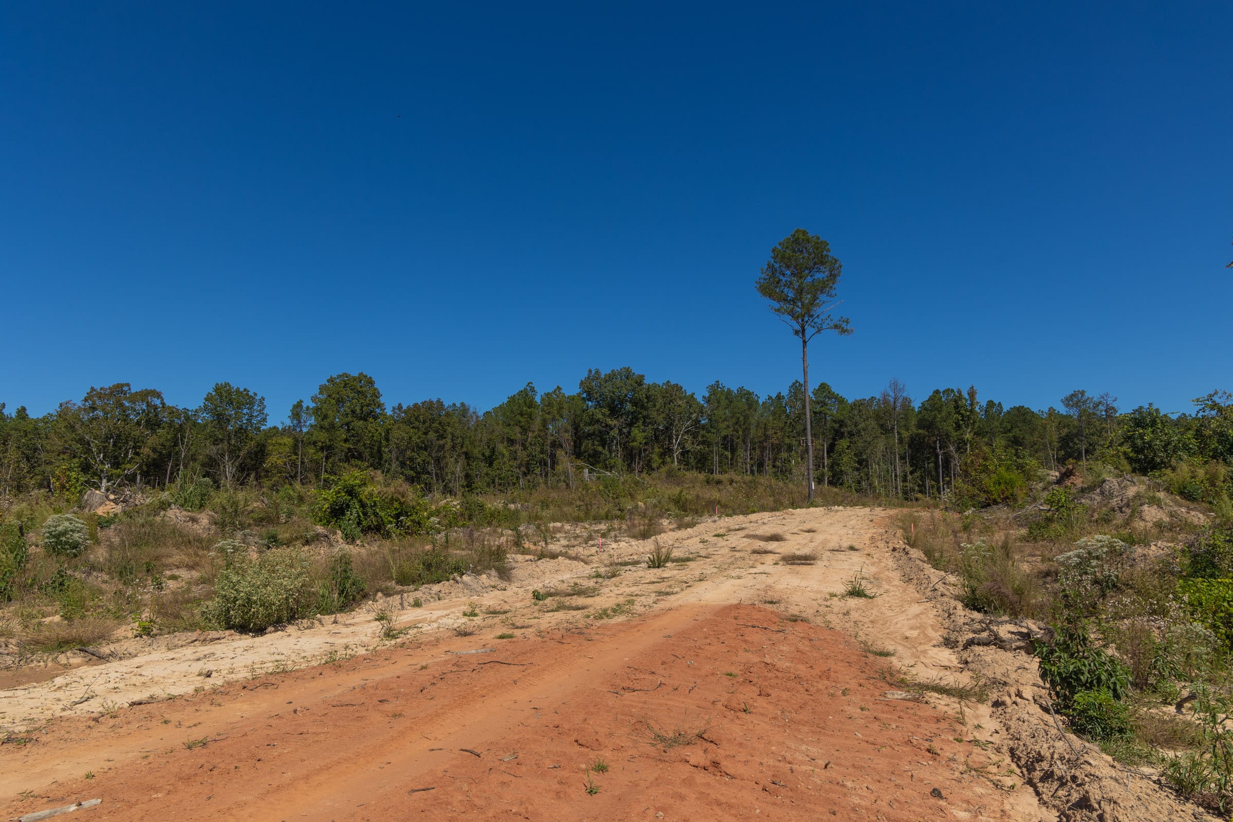 Meyer’s Ridge Tract 15 photo 6
