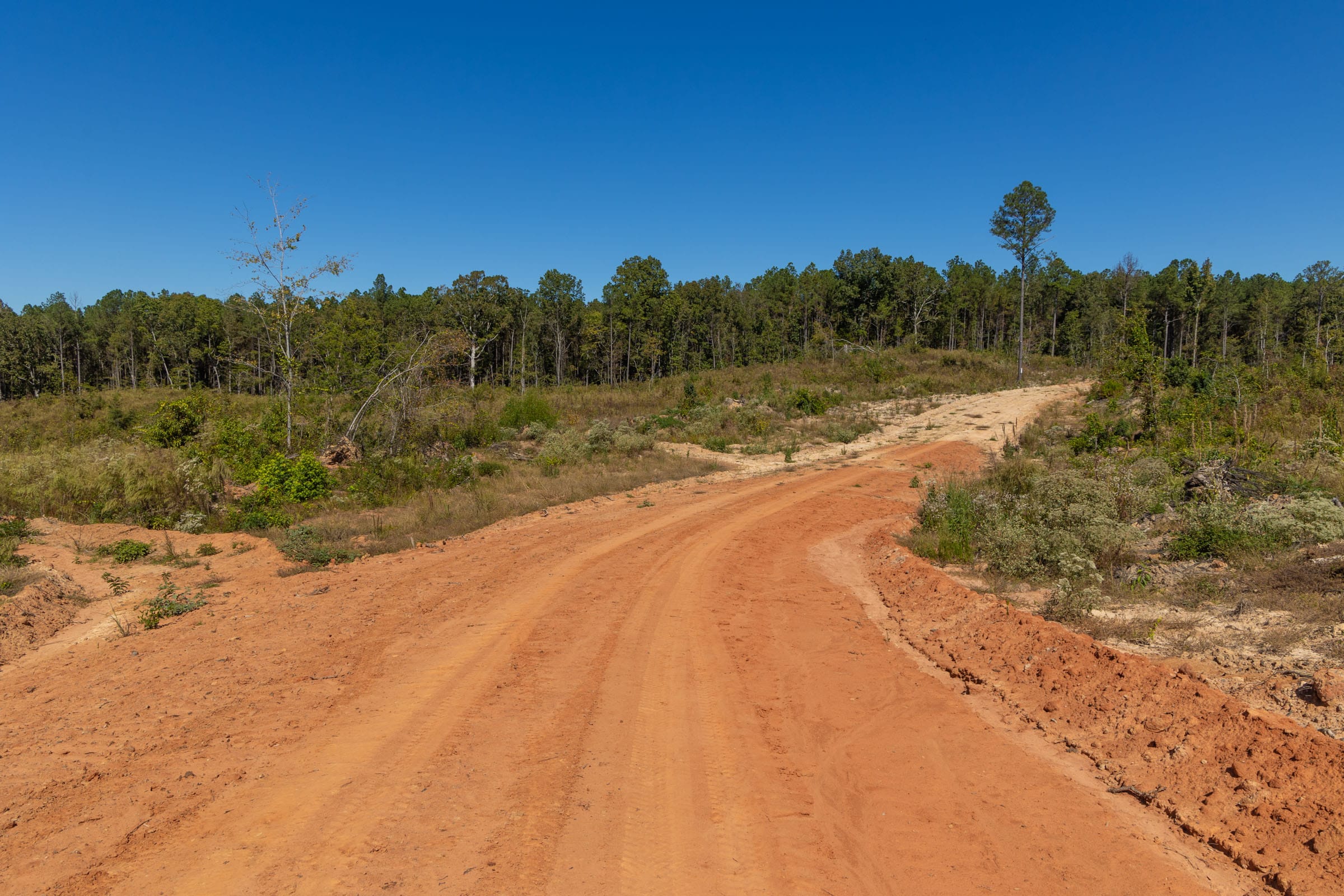 Meyer’s Ridge Tract 15 photo 3