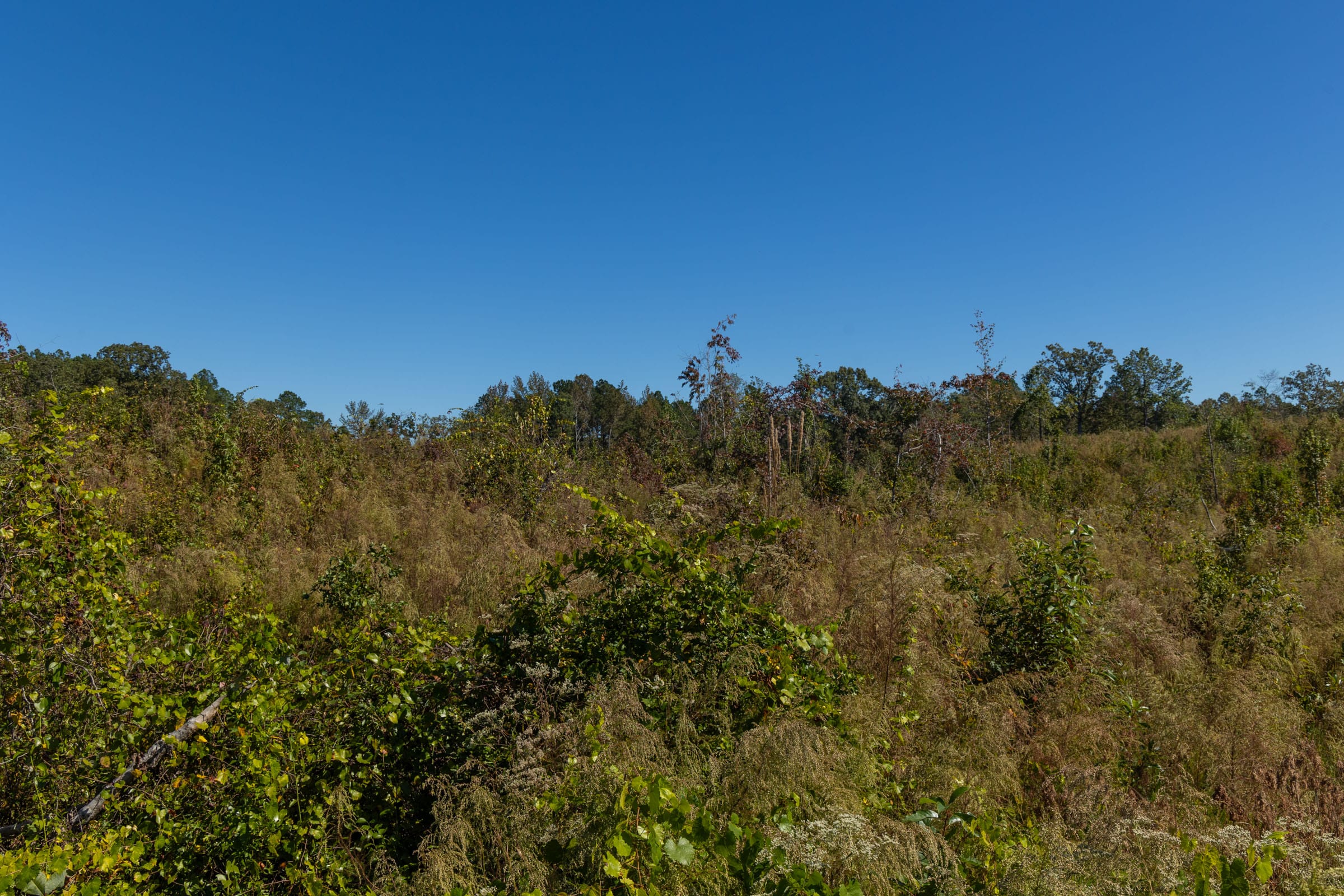 Meyer’s Ridge Tract 15 photo 5